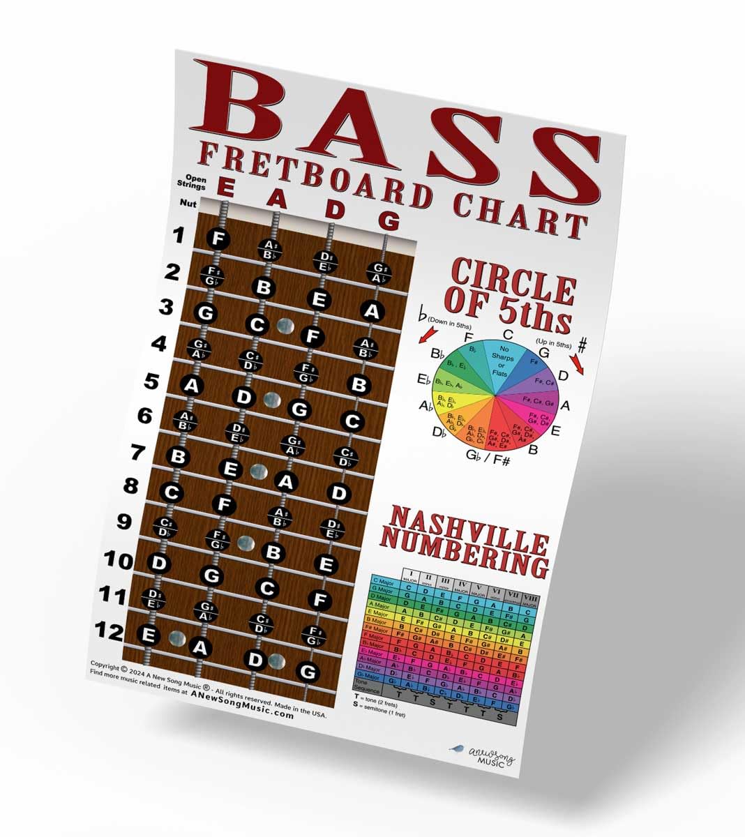 4 String Bass Instructional Chart With Fretboard Notes Poster - Nashville Numbering System - Circle Of 5Ths | A New Song Music |