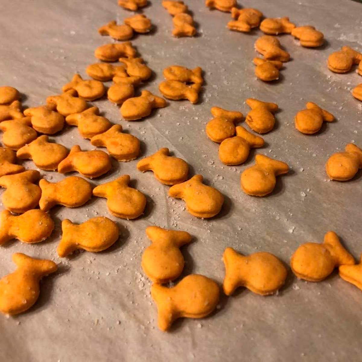 Fish Cookie Cutter Multi X5 - Plastic Red Fish Cutters For Cookies, Dough, Bread, Soft Fruits, Soft Veggies And More - Cutters F