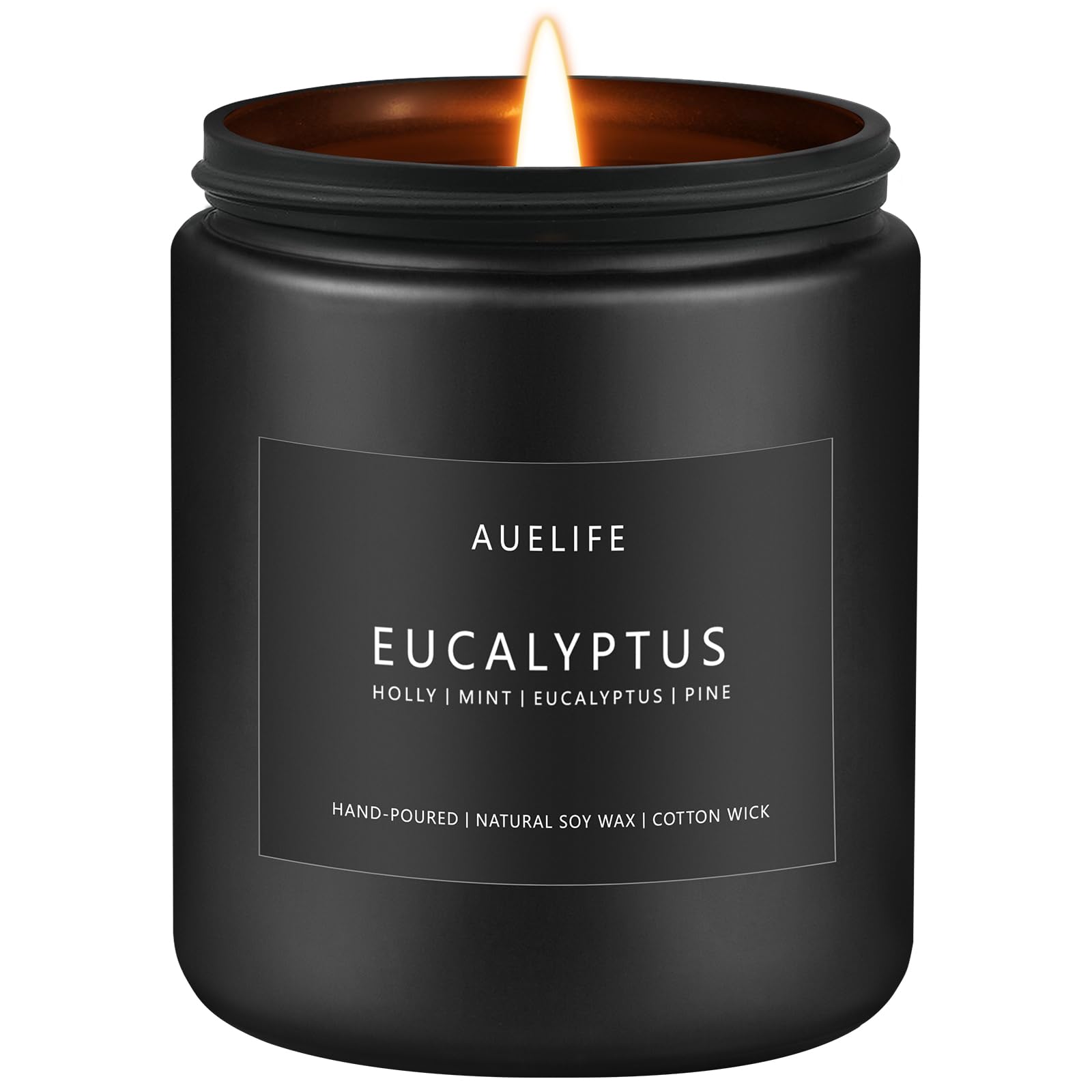 Eucalyptus Candle | Eucalyptus Scented Candles, Eucalyptu Leaf Fragrance for Indoor & Outdoor, Summer Candle Gifts, Natural Soy 