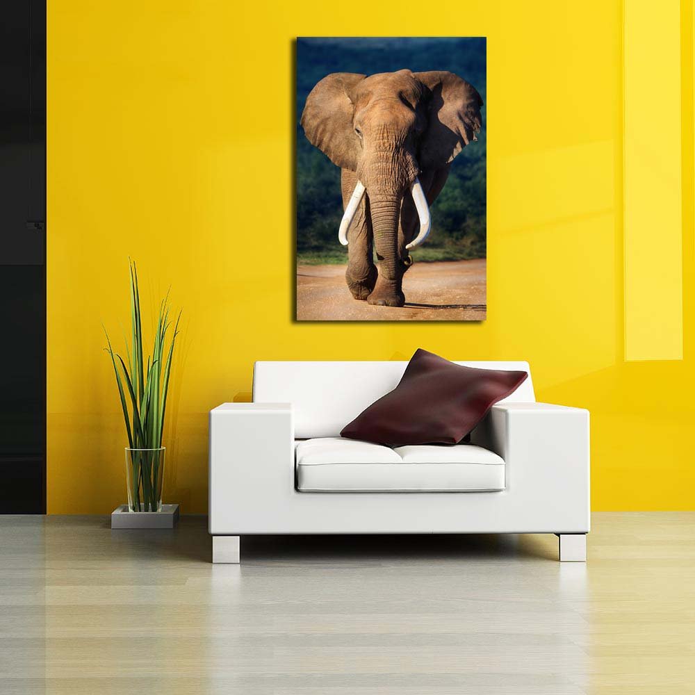 Pitaara Box Elephant with Large Teeth | Peel & Stick Vinyl Wall Sticker for Bedroom & Living Room | 16 x 23.8 inch (41 x 60 cms)