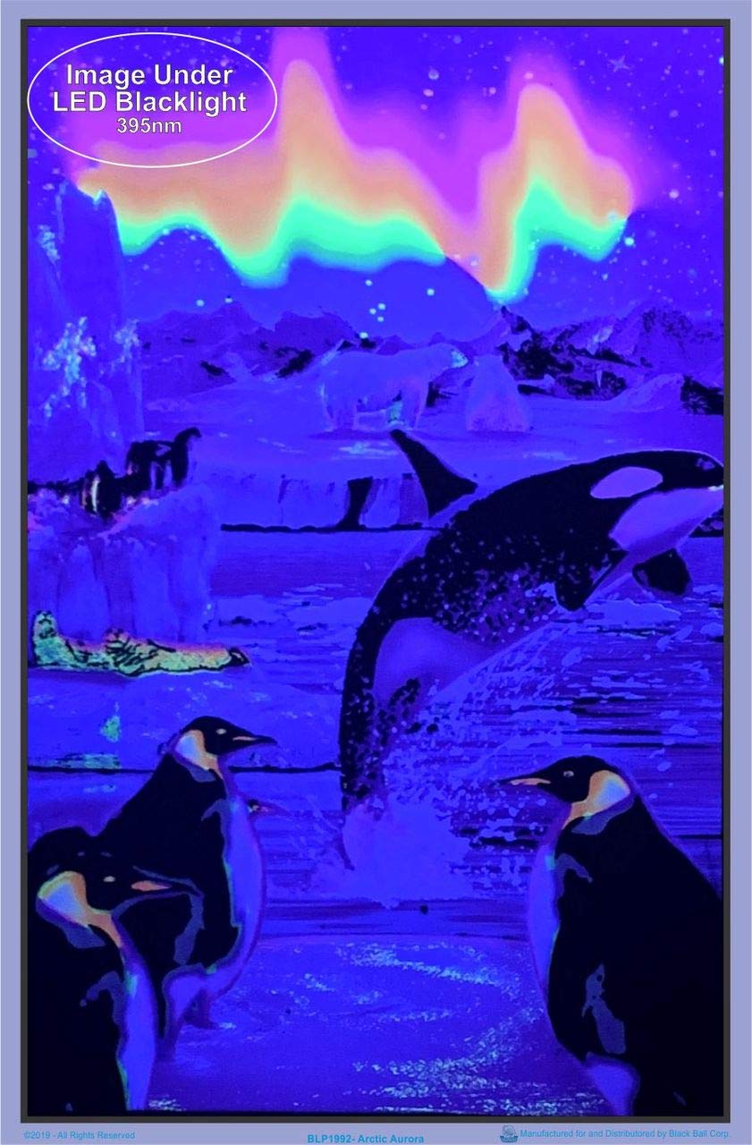 Opticz Arctic Aurora Blacklight Reactive Poster
