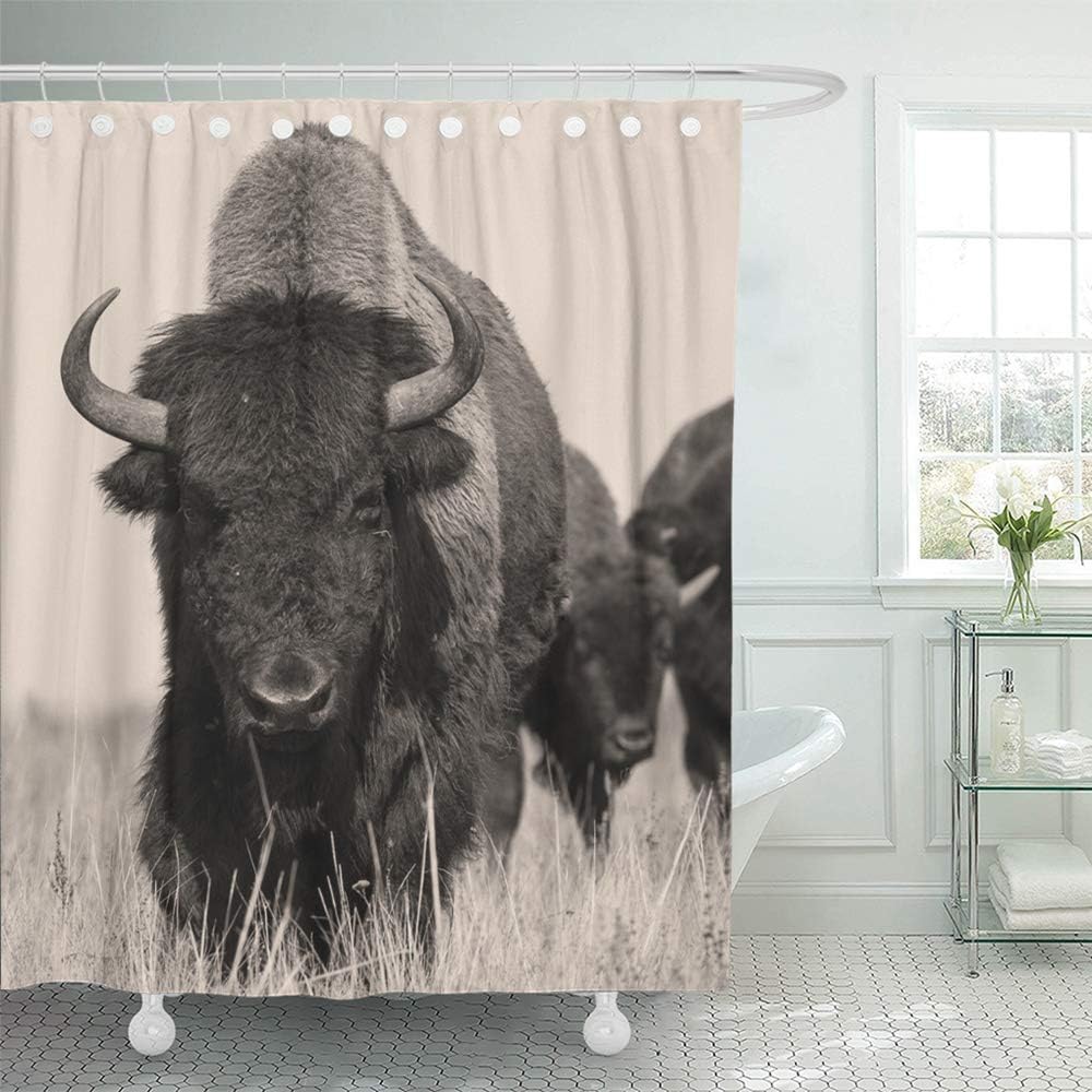 Emvency Decorative Shower Curtain Head Bison Buffalo in Sepia Herd of Shot One Animal 72''x72'' Waterproof Bathroom Shower Curtain Set with Hooks