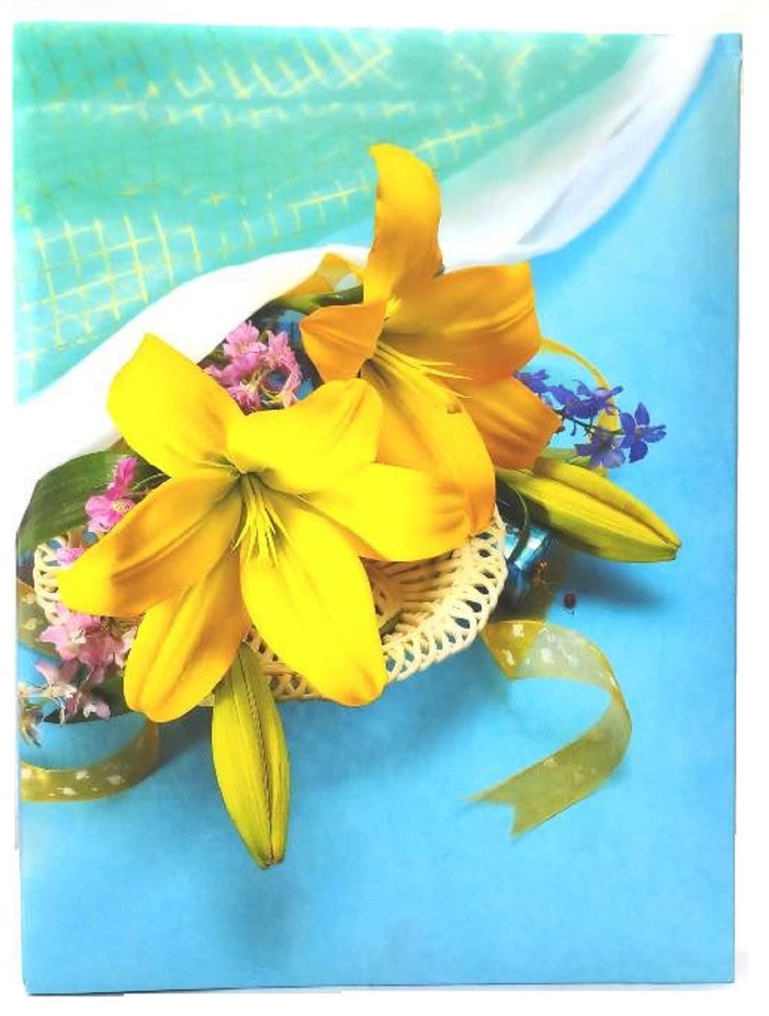 CSN - CUTE SHOPPING NETWORK Natraj Series Photo Album with Extra Clear PVC Film 200 Photos, (Photo Size Supported: 4x6 Inches, M