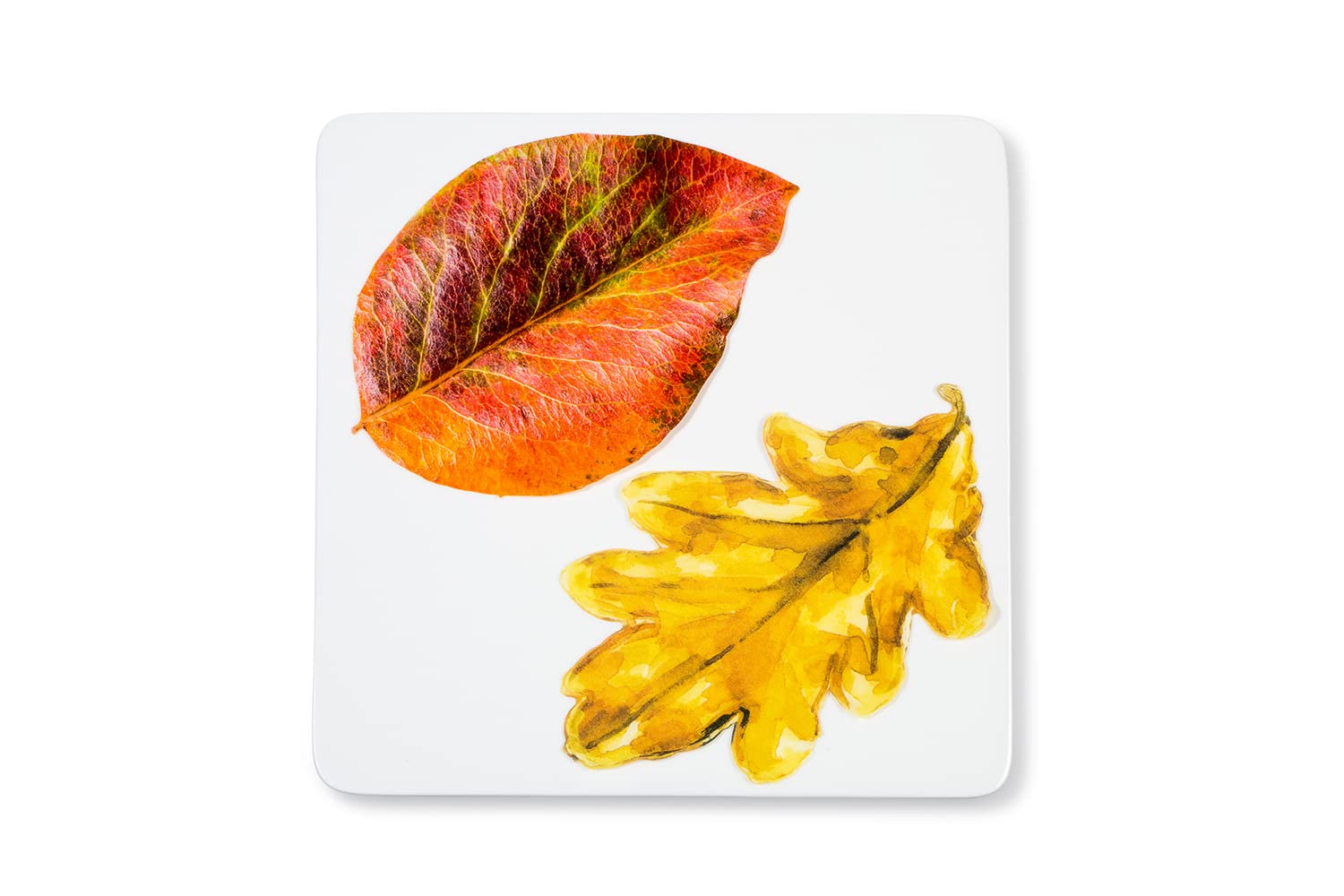 Parchment Paper Leaves For Cheese & Charcuterie Boards - Sisson Distribution Leaves (Pack Of 20) (Autumn Leaves)