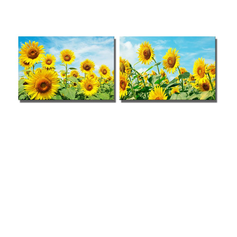 Wall26 - Canvas Prints Wall Art - Sunflower Field Under Blue Sunny Sky | Modern Wall Decor/Home Decoration Stretched Gallery Can