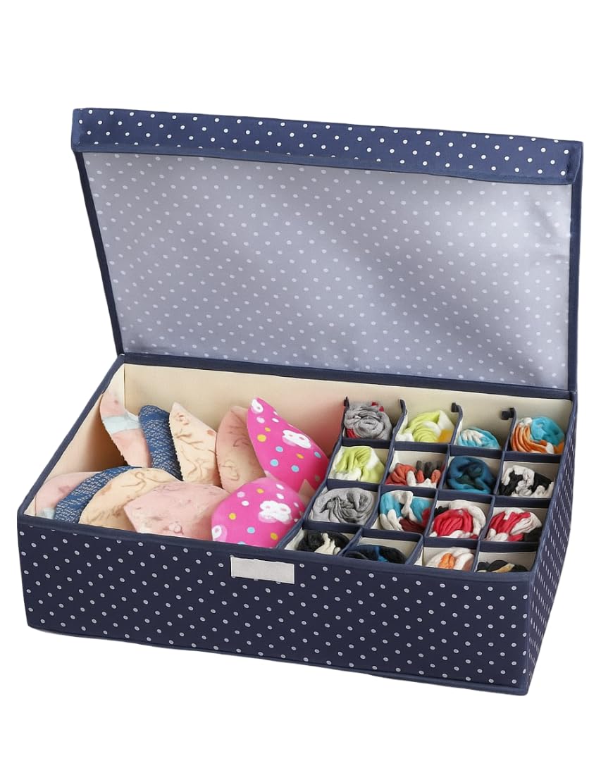 Moshtu Multi Compartment Foldable Closet Storage Box With 16 Grids | Drawer Organizer For Underwear, Bra, Panty & Innerwear | Wa