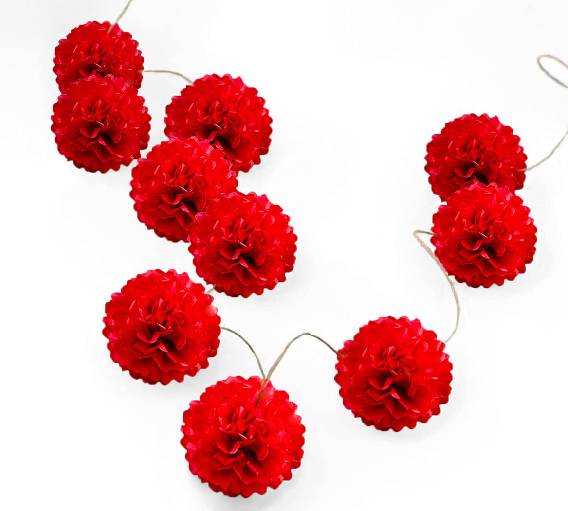 Pack Of 10 Tissue Paper Flower Ball Pom Pom Party Decoration Indoor Outdoor 6'' 8'' 10'' 12'' 14'' (Red, 12'')