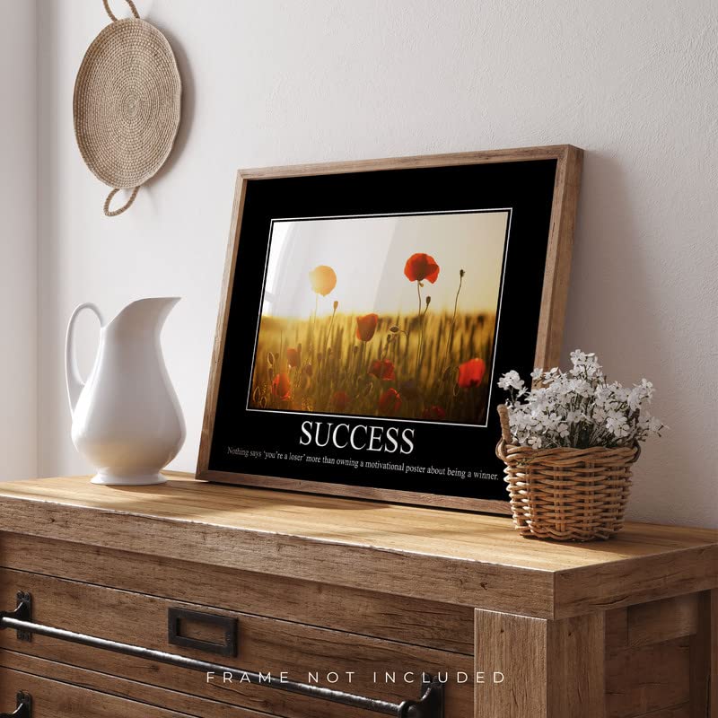 Success Demotivational Poster Ironic Snarky Funny Sarcastic Office Wall Decor Art Print 11X14 Inches Unframed