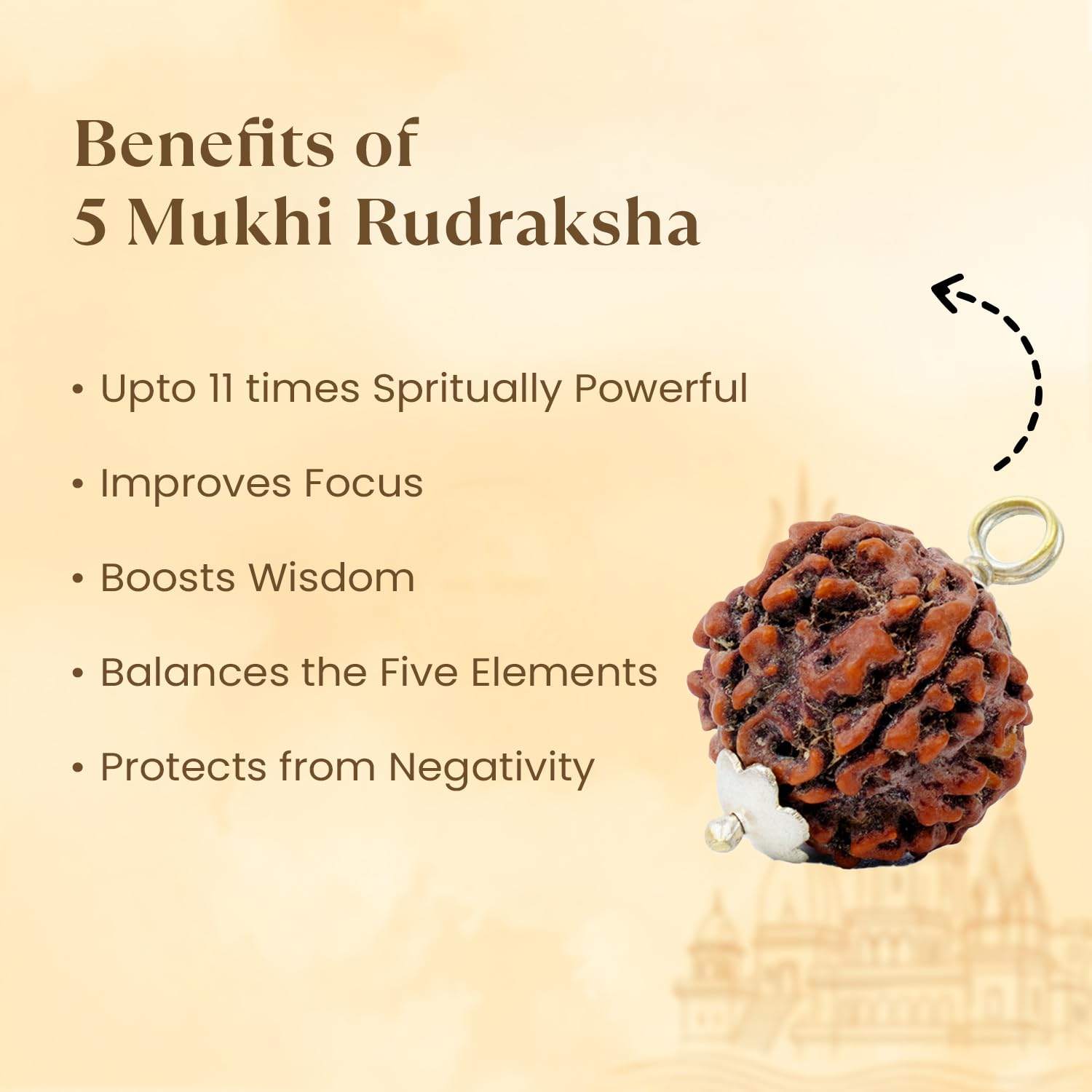 Astrotalk 5 Mukhi Rudraksha Combo | 5 Mukhi Rudraksha | Spiritual Growth & Protection | Unisex Healing Astrology Bracelets for Men & Women | Certificate of Authenticity