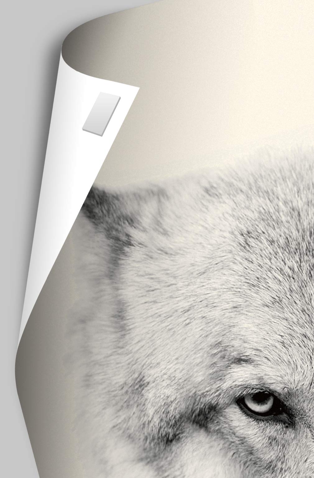 Trends International Dungeons And Dragons - Adventure Wall Poster, 22.375'' X 34'', Poster & Mount Bundle