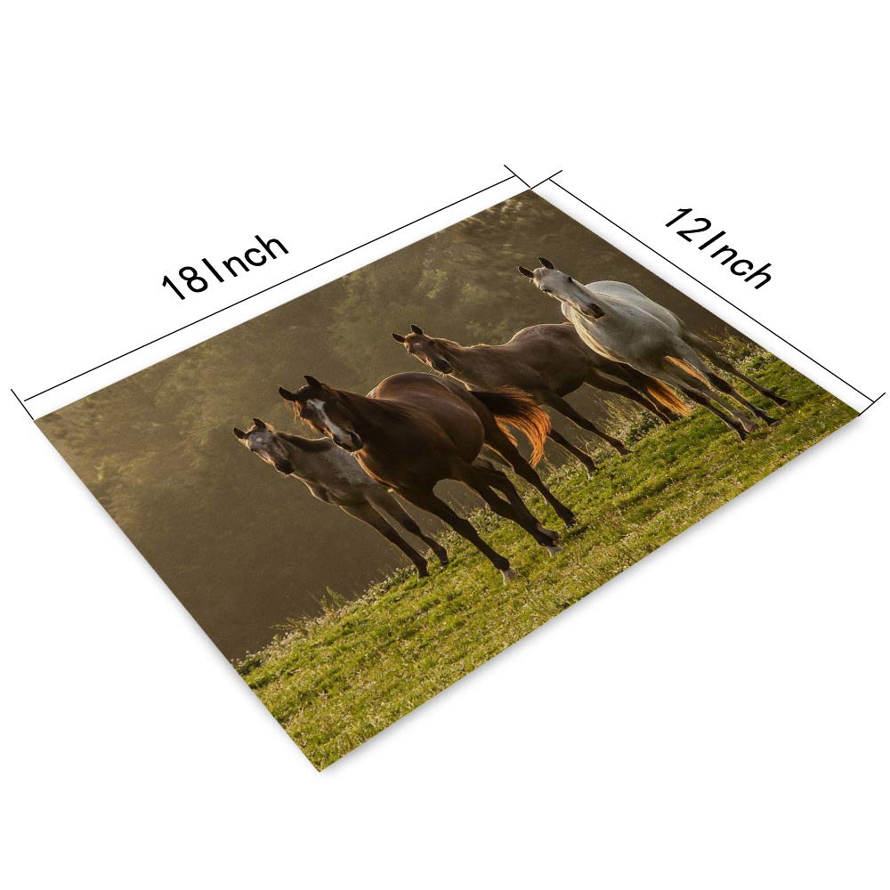Horse Placemats Set Of 4, Horse On The Prairie Pasture Placemats Heat Resistant For Dining Table Non-Slip 18X12 Inches
