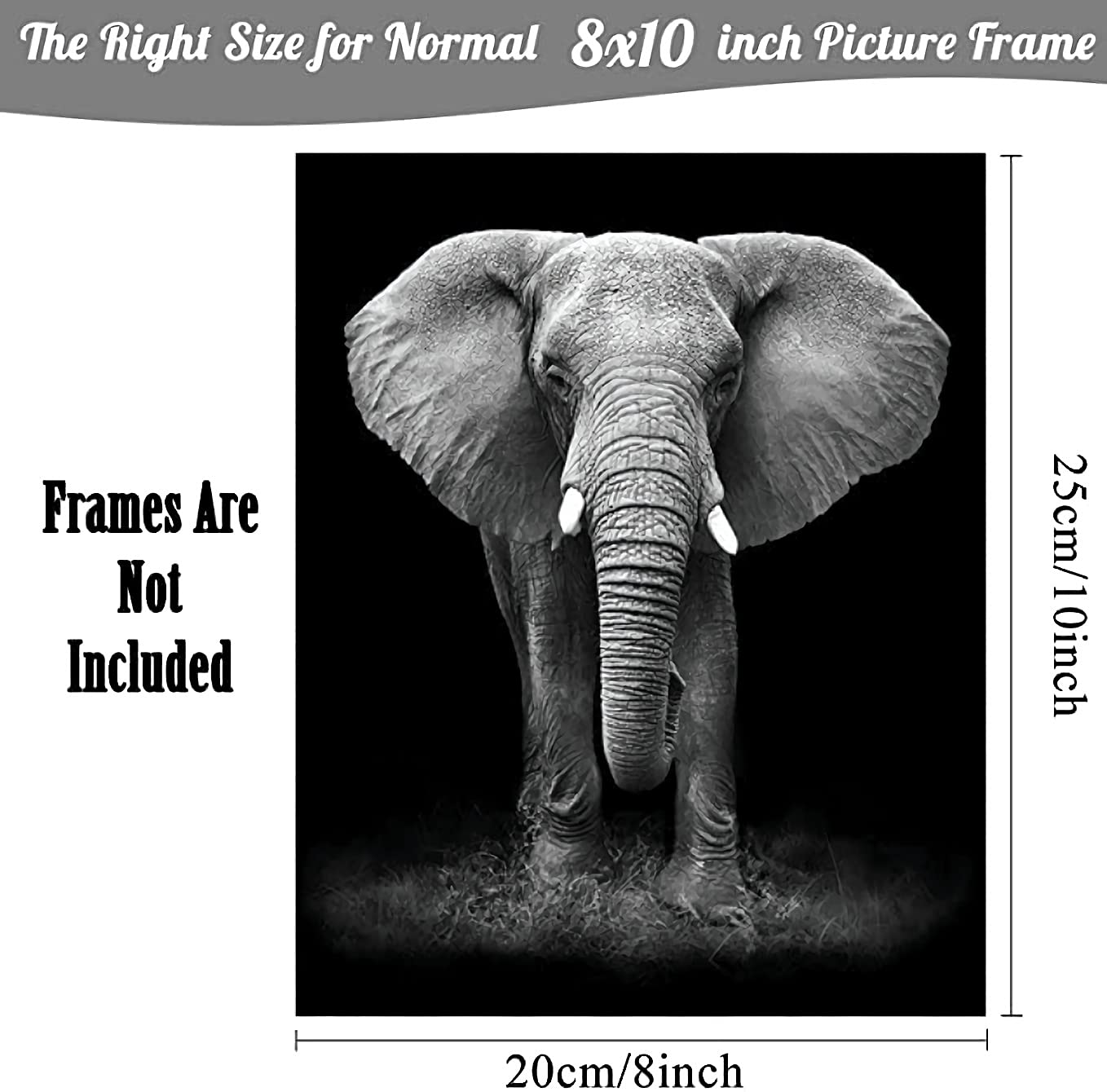 4 Set-Black and White African Wild Animal Photo Wall Art Tiger Lion Elephant  Leopard Picture Canvas Wall Poster Printing Brave Inspirational Wall Art For Bedroom Living Room Decor(8''x 10''Unframed)