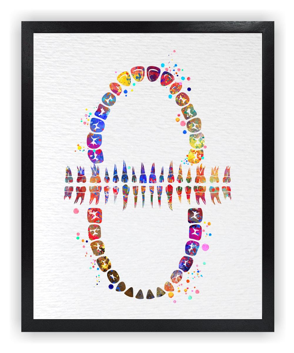 Dignovel Studios 8X10 Unframed Tooth Chart Anatomical Art Dental Clinic Dentistry Science Watercolor Art Print Poster Dn565