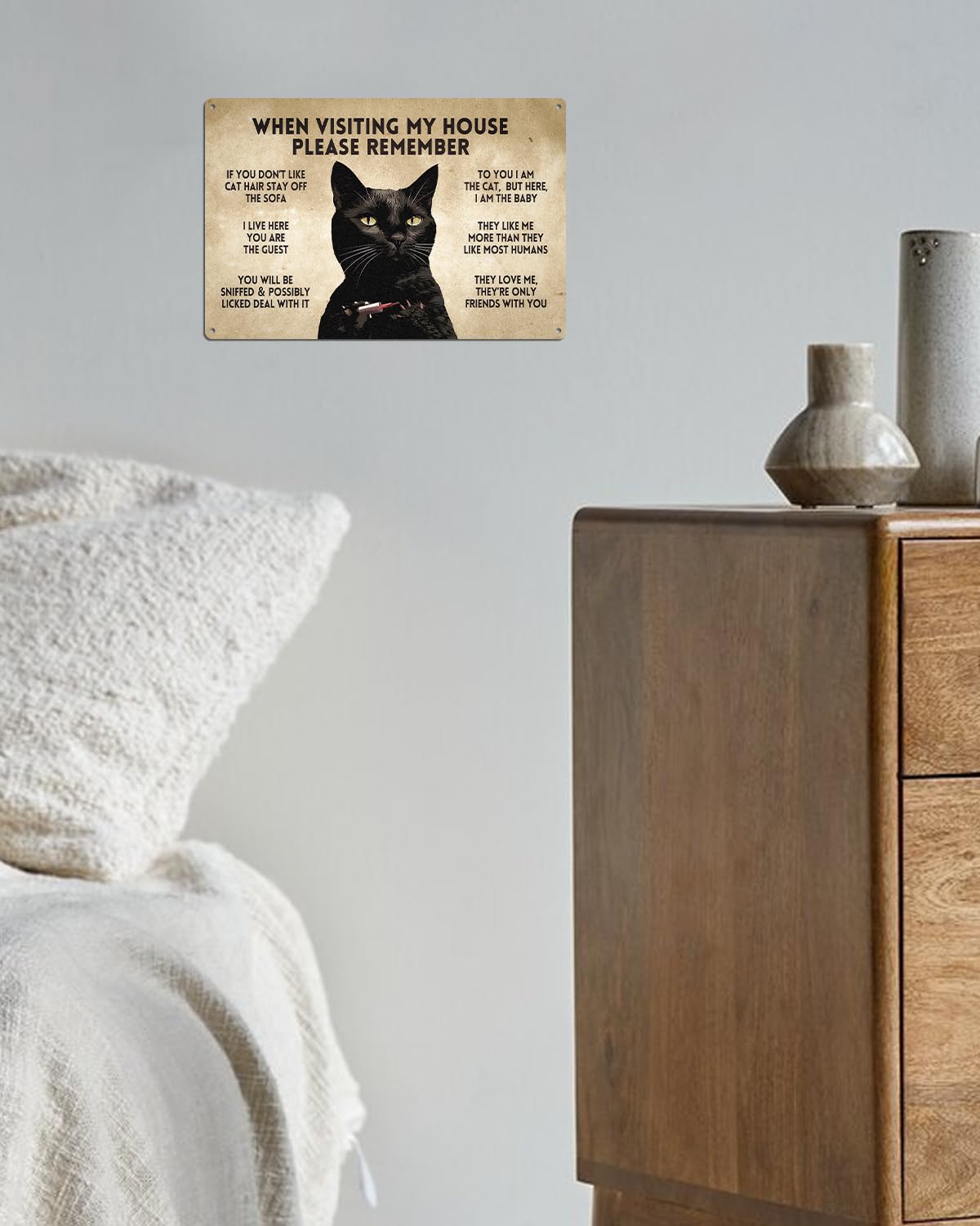 Alkb Funny Black Cat Poster Cat Lover Gift - When Visiting My House Please Remember - Black Cat Rules Metal Signs 8 X 12 Inch