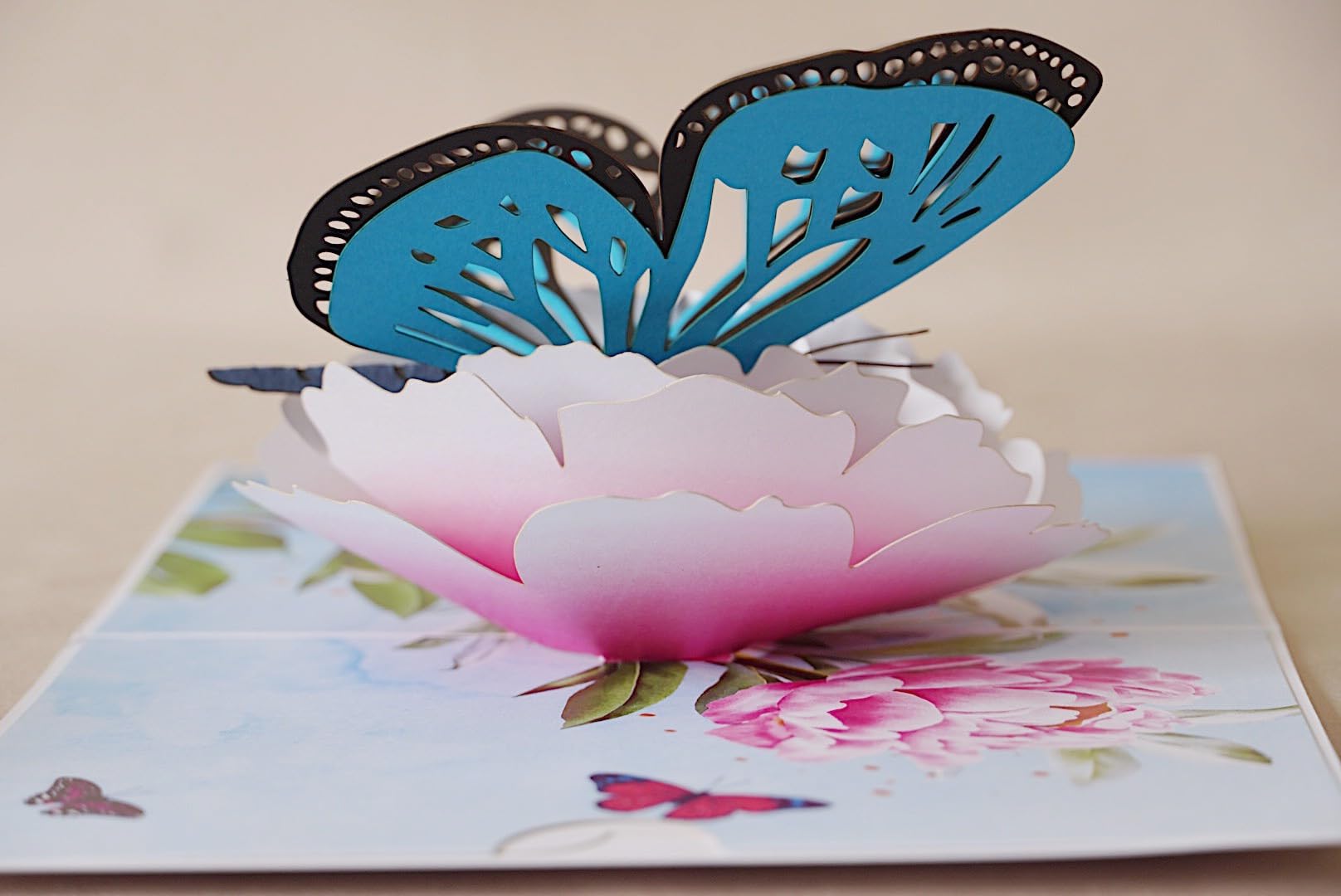 Eta Flowers (A17), Vhfa17