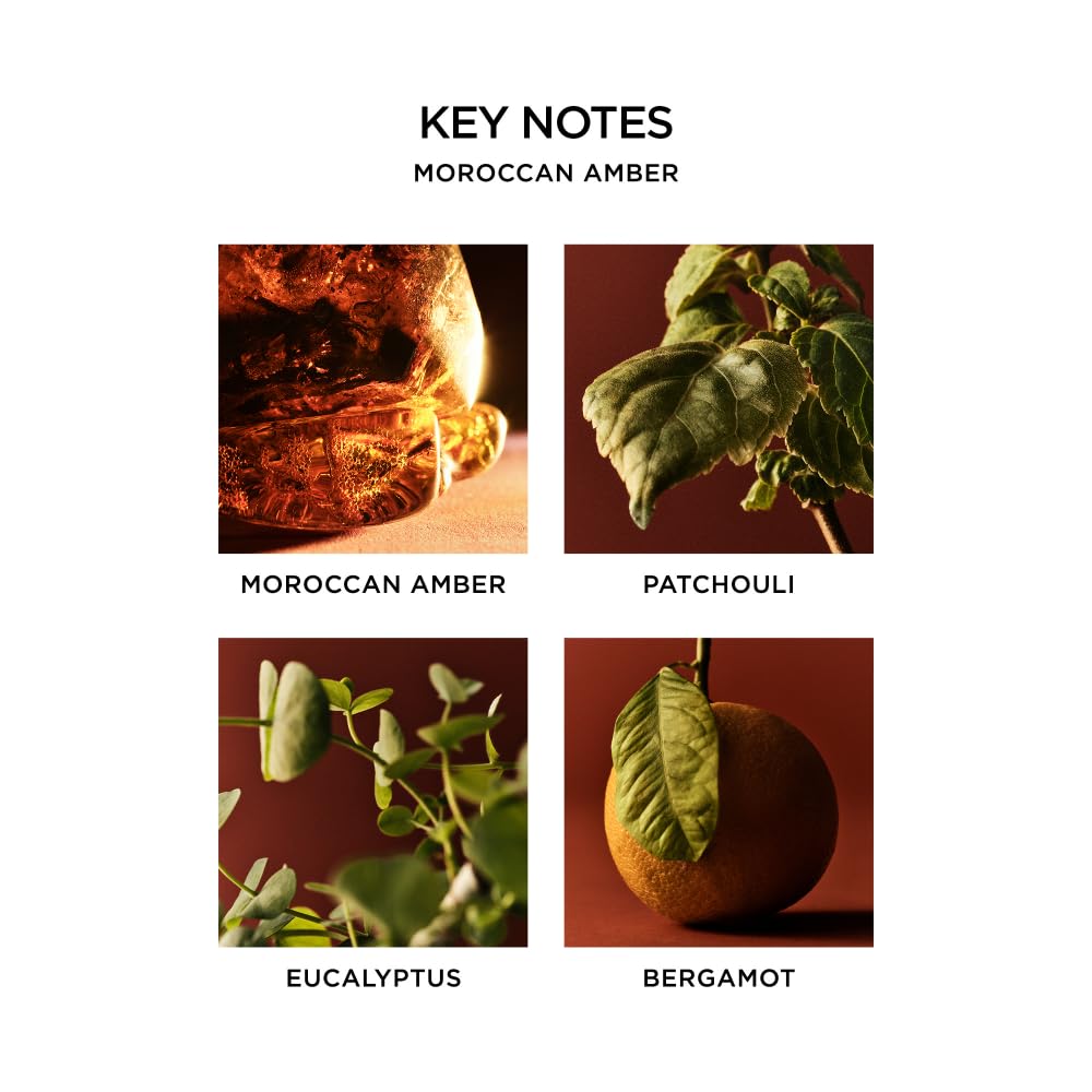 NEST Fragrances Moroccan Amber, NEST01MA003 Classic Candle, 8.1 oz