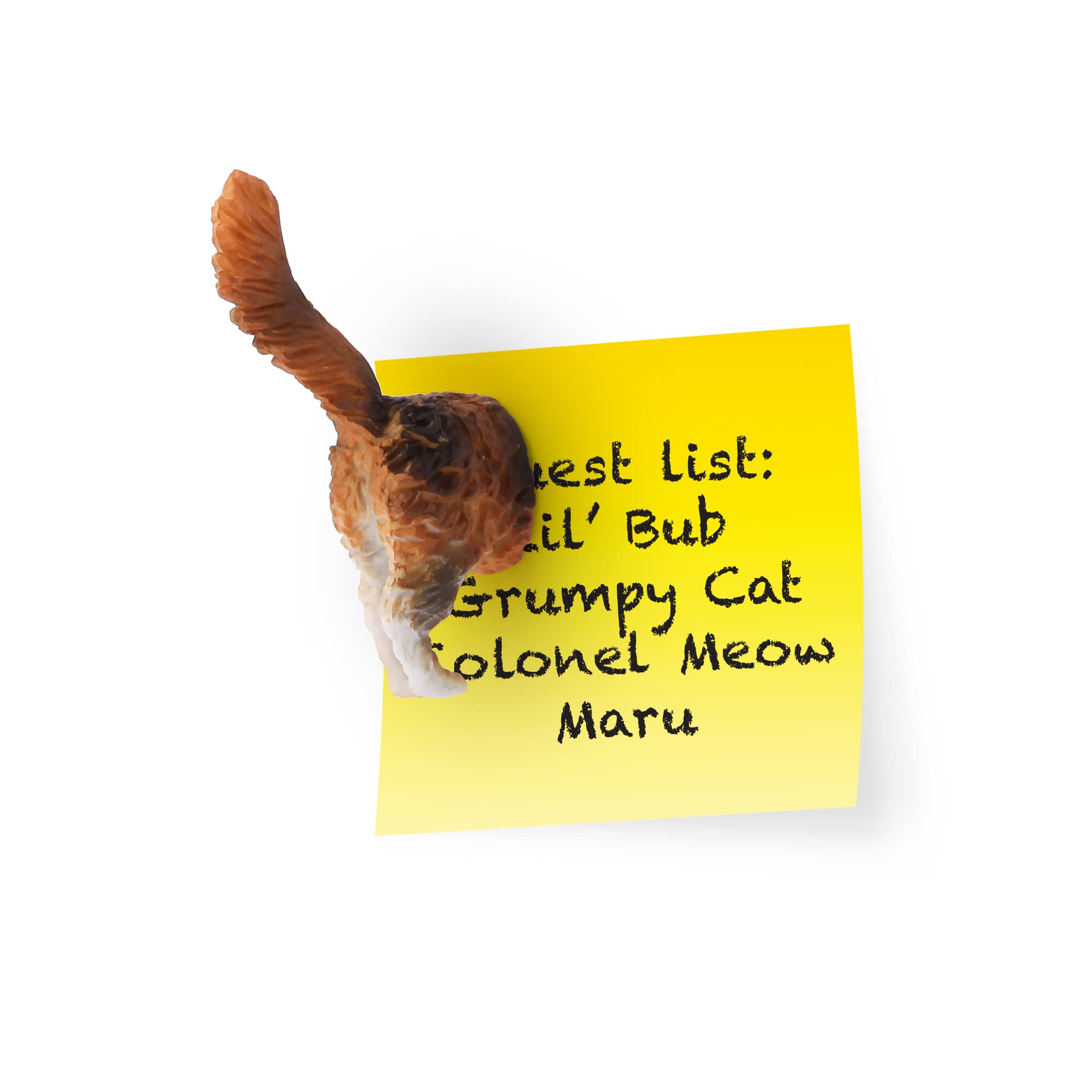 Kikkerland Magnetic Funny Cat Butt Refrigerator Decorative Magnets, Set Of 6, Novelty Gift, Cat Lovers