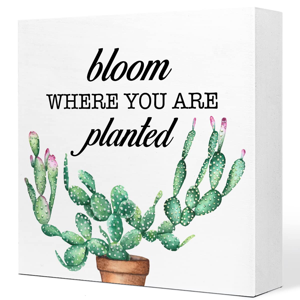 Bloom Where You are Planted Wooden Sign Desk Decor,Farmhouse Cactus Wood Block Sign Desk Decorations for Home Kitchen Room Garde