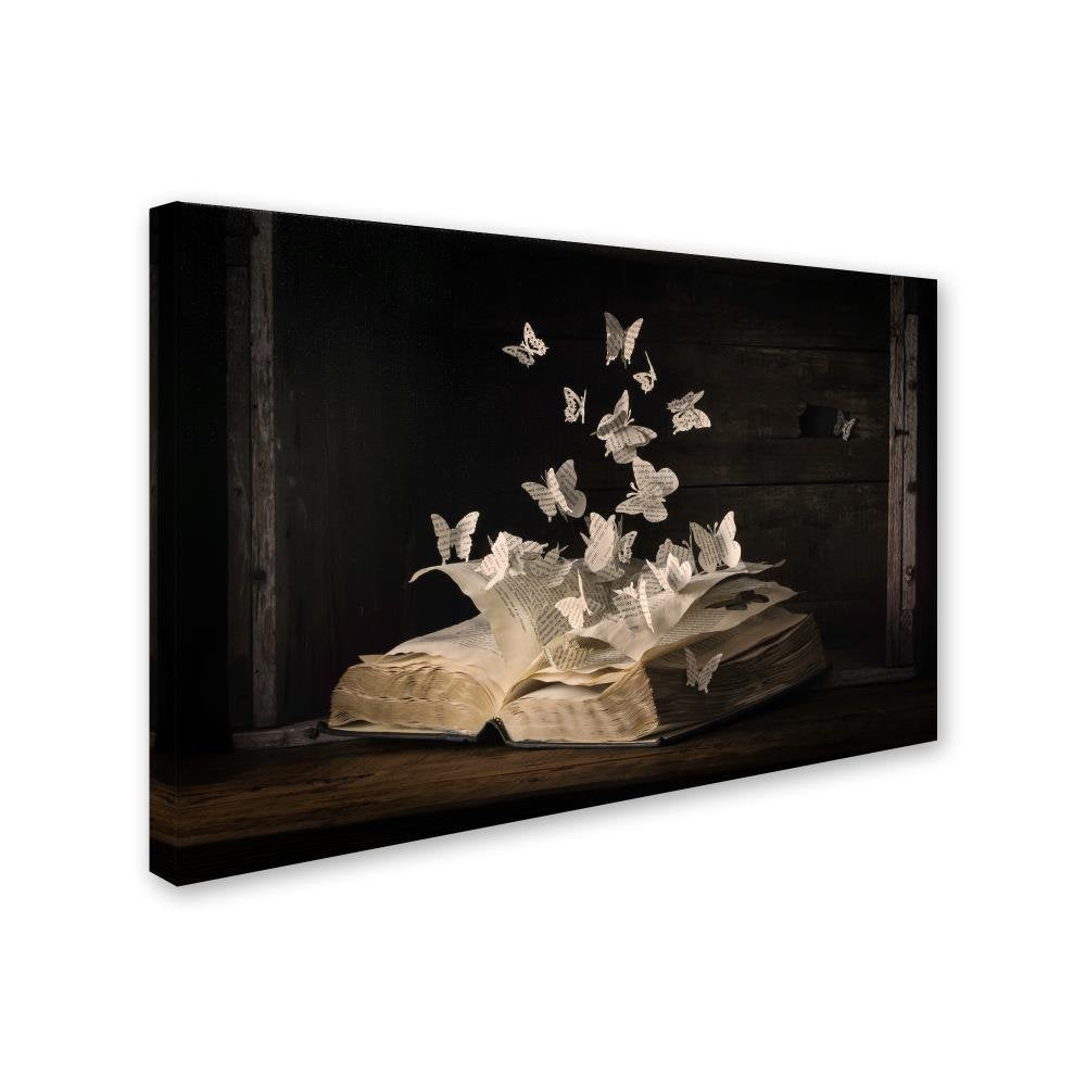 Lepidopterology By Heather Bonadio, 22X32-Inch Canvas Wall Art