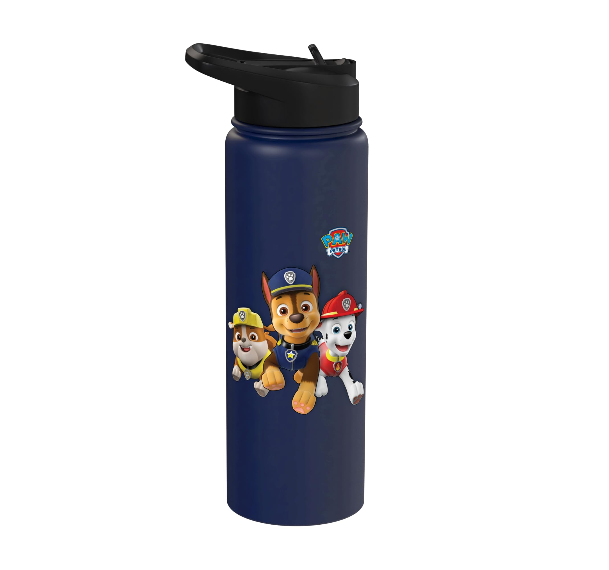 Paw Patrol Pup Trio Stainless Steel Insulated Water Bottle