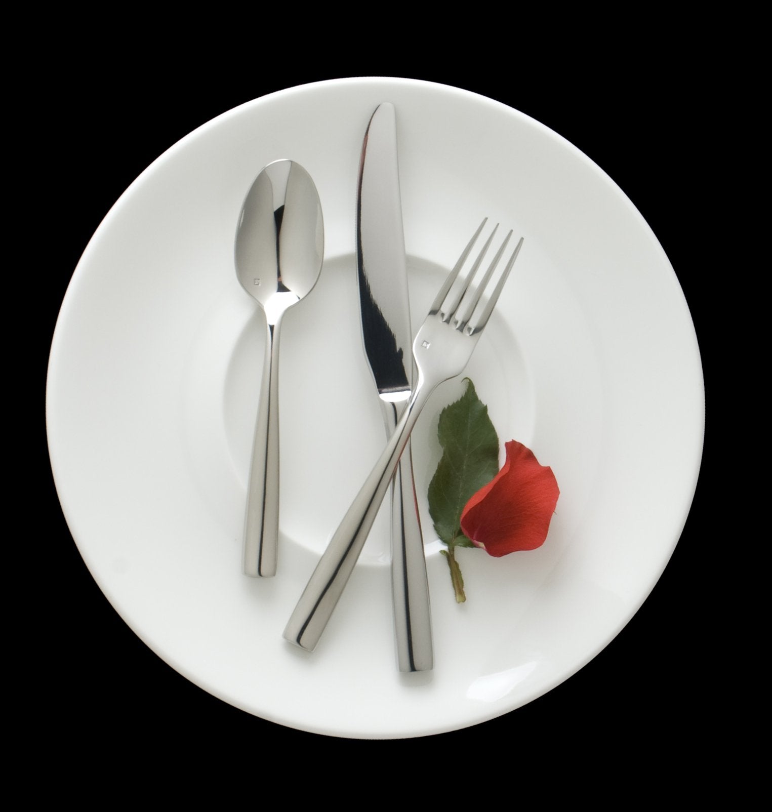 Fortessa Lucca 20-Piece Flatware Set, Polished Stainless Steel, Model 5pps-102-20PC