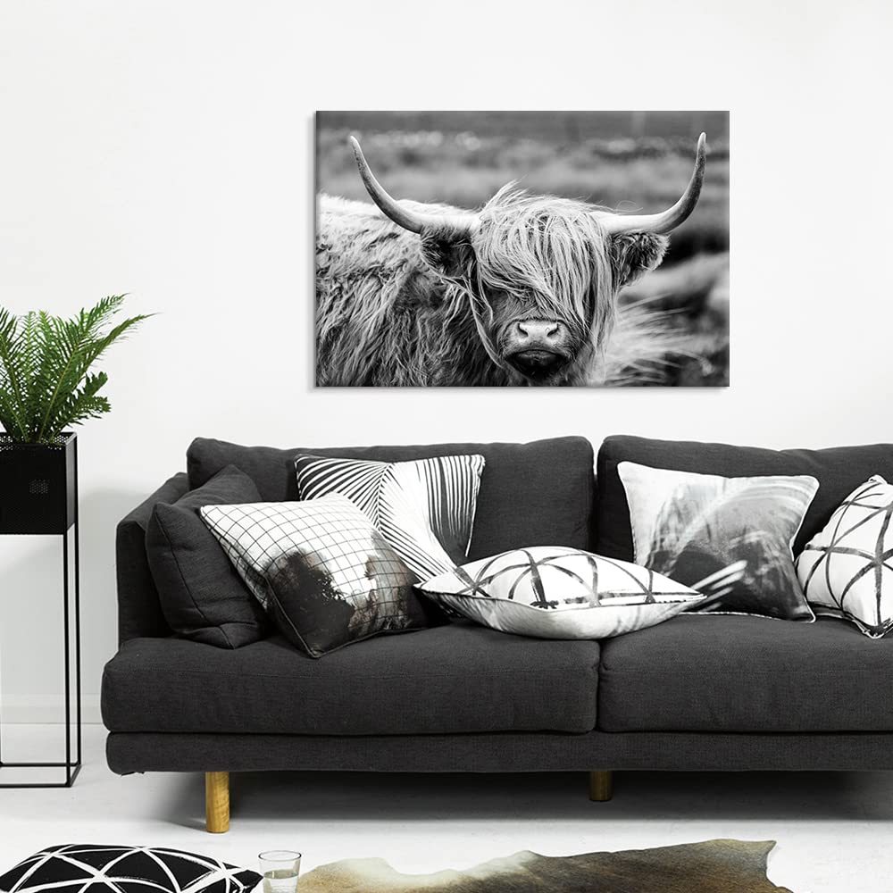 Seven Wall Arts Highland Cow Photography Wildlife Portrait Picture Black And White Closeup Animal Print Scottish Highland Cattle