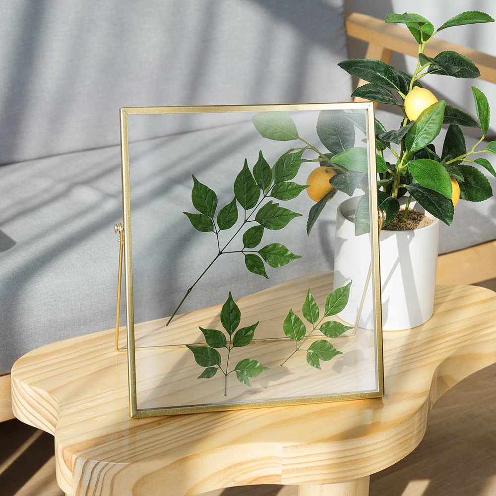 AceList Picture Frame for 8x10 Picture - Gold Metal Floating Photo Frame with Glass Cover - 10x12 Frame Gold Picture Frame - Flo