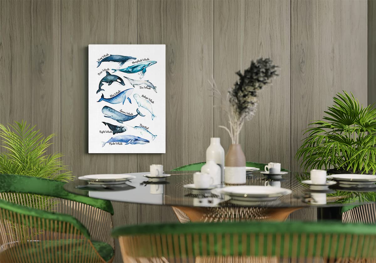 Sea Life Whale Educational Ocean Animal Chart Wall Art Canvas Farmhouse Whale Theme 11X14 Inch Prints Decor For Home Bedroom Liv