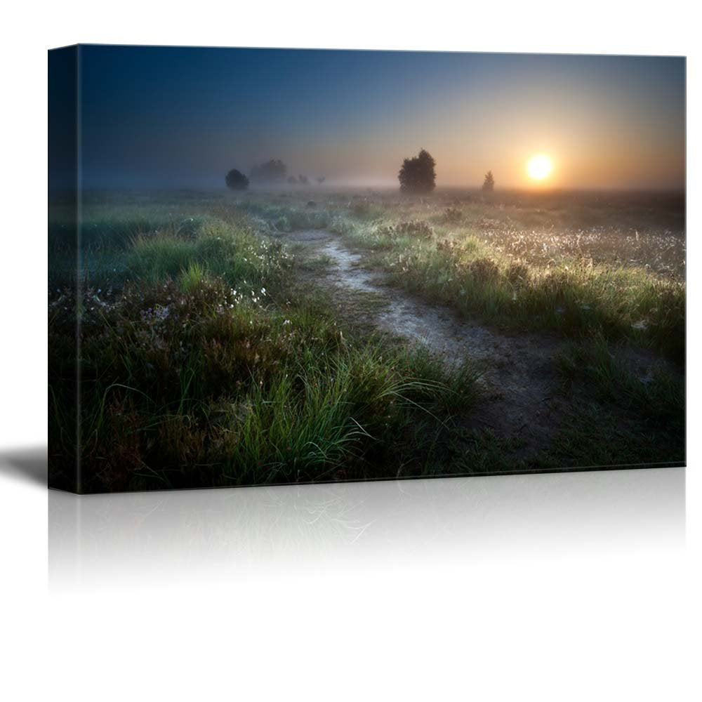 Beautiful Scenery Landscape Misty Sunrise Over Countryside Path Through Swamps Fochteloerveen Drenthe Netherlands Nature Beauty