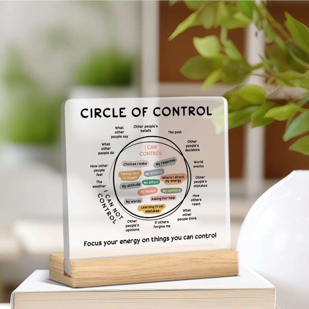 Mental Health Decor, Therapy Office Gifts, Therapy Office Decorations, Therapist Gifts for Women Men, Things I Can Control Acryl