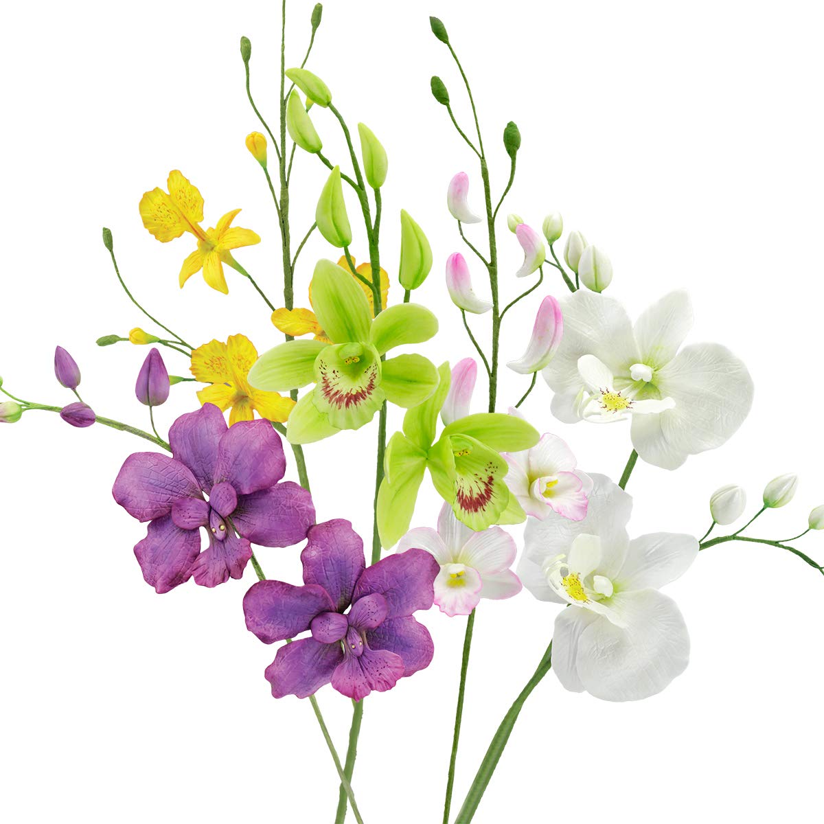 Flower Pro Ultimate Orchids Silicone Molds & Veiner Set. Makes 5 Orchids: Dendrobium, Vanda, Oncidium (Dancing Ladies/Butterfly)