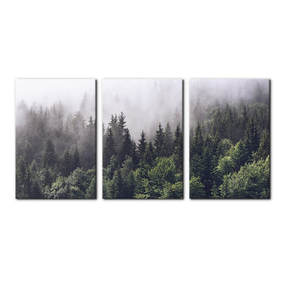 Pacimo Canvas Wall Art Fog Over Pine Tree Forest Nature Wilderness Photography Modern Art Rustic Landscape Relax/Calm Cool For W