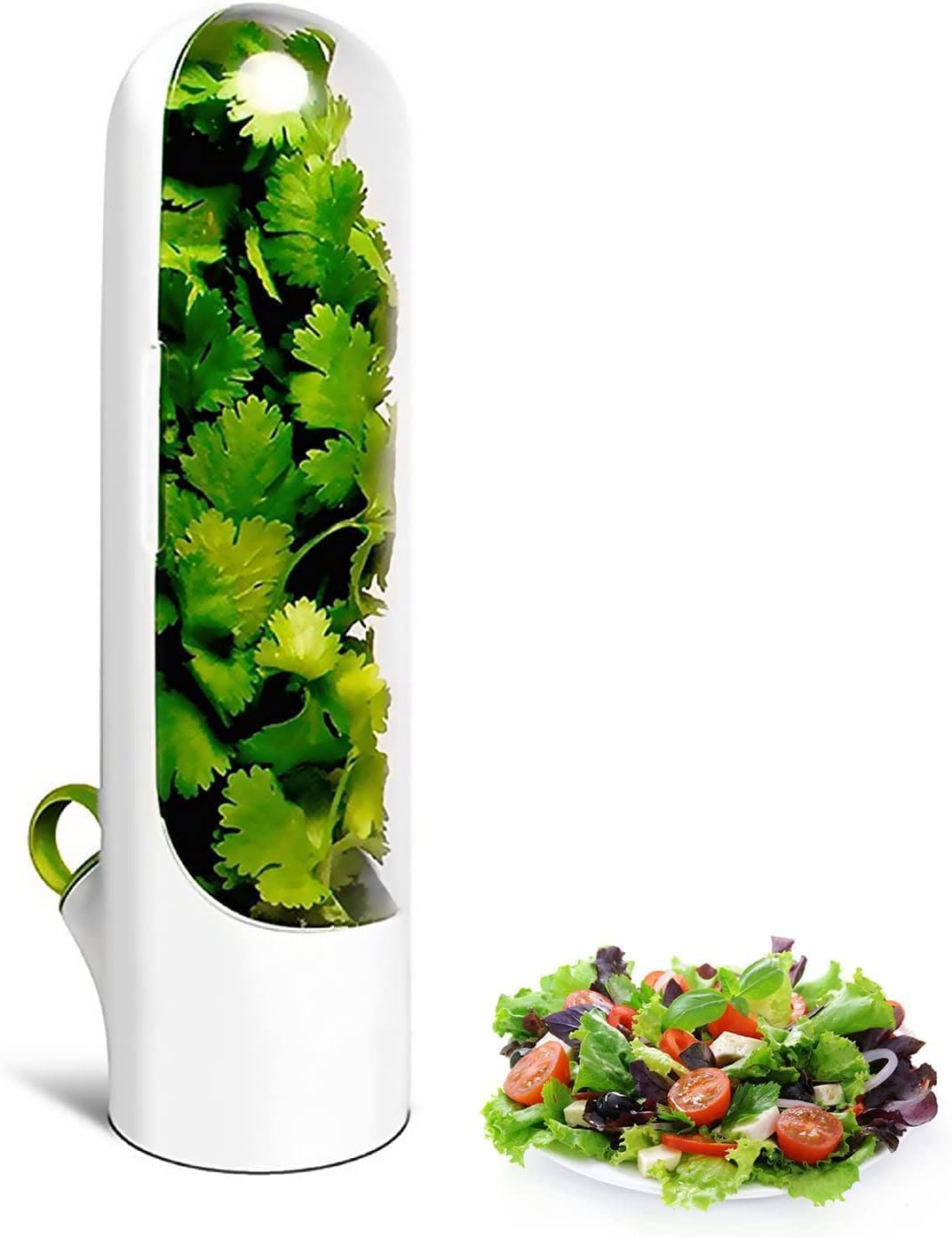 Baisenjie Fresh Herb Saver Container With Water Reservoir Refrigerator Keeper Storage Vertical Cilantro Parsley Mint Lettuce Gre