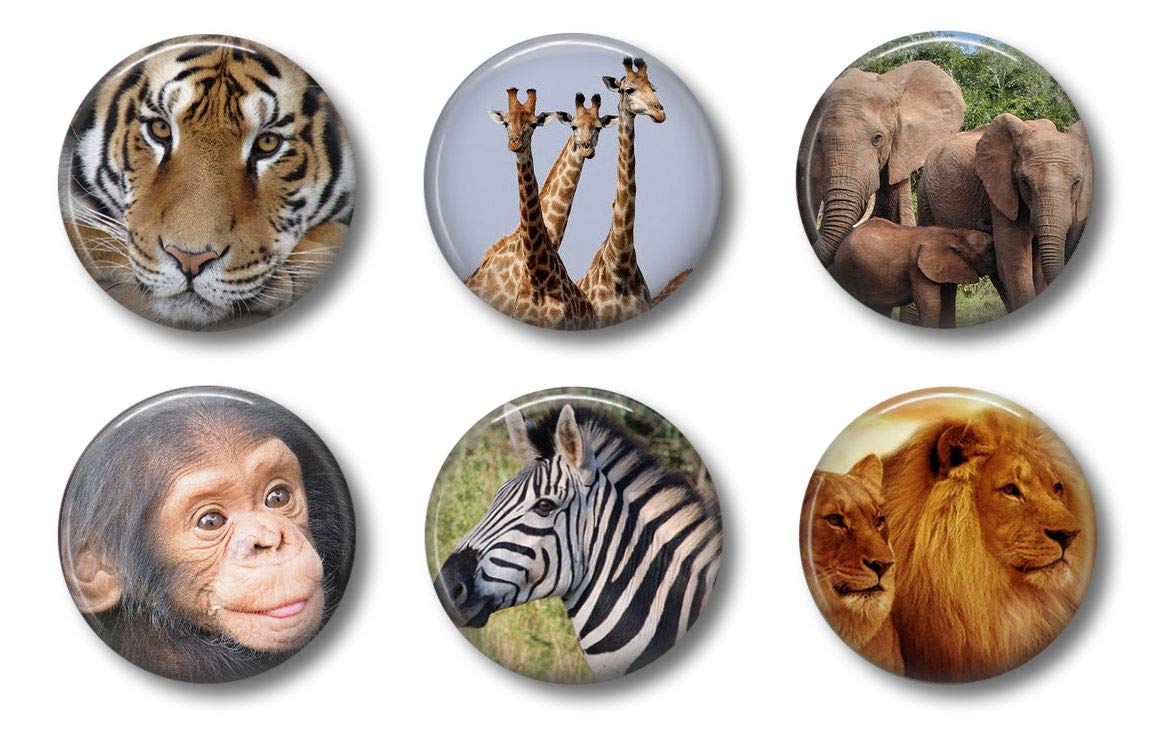 Cute Locker Magnets For Teens - Jungle Animals Zoo - Set Of Six 1.75'' - Whiteboard Office Or Fridge - Gift Set (Jungle Animals)