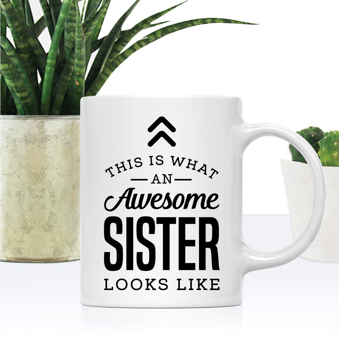 Andaz Press 11oz. Ceramic Coffee Tea Mug Gift, This is What an Awesome Sister Looks Like, 1-Pack, Birthday Gift Ideas Coworker H