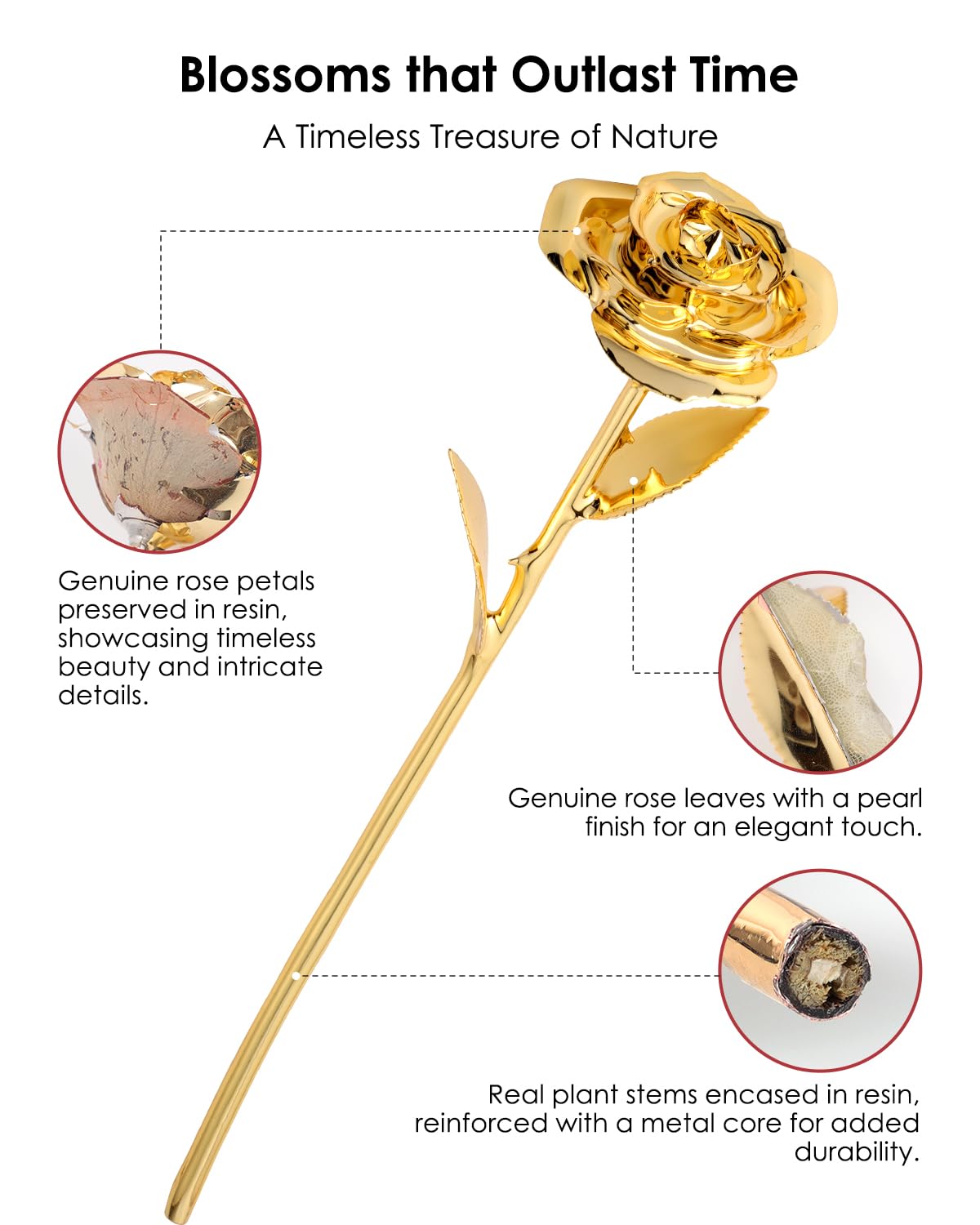 ECO SPACE 24K Gold Dipped Real Rose - Handpicked Real Rose Preserved in 24K Gold - Elegant, One-of-a-Kind Romantic Gift for Her