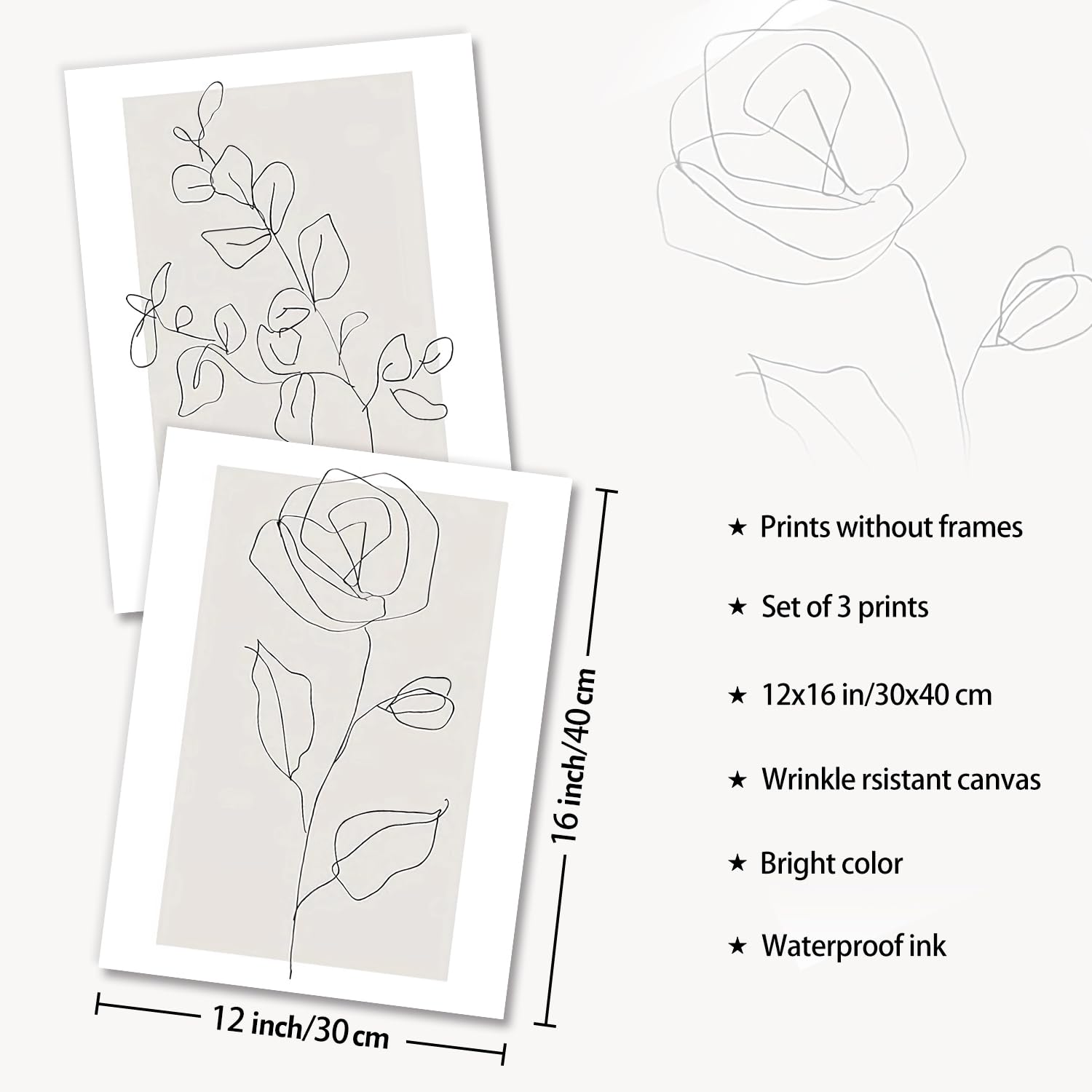 Dazzlewall Abstract Botanical Wall Decor Poster Minimalist Flower Line Wall Poster For Bedroom Living Room Decor 12X16 In Unfram