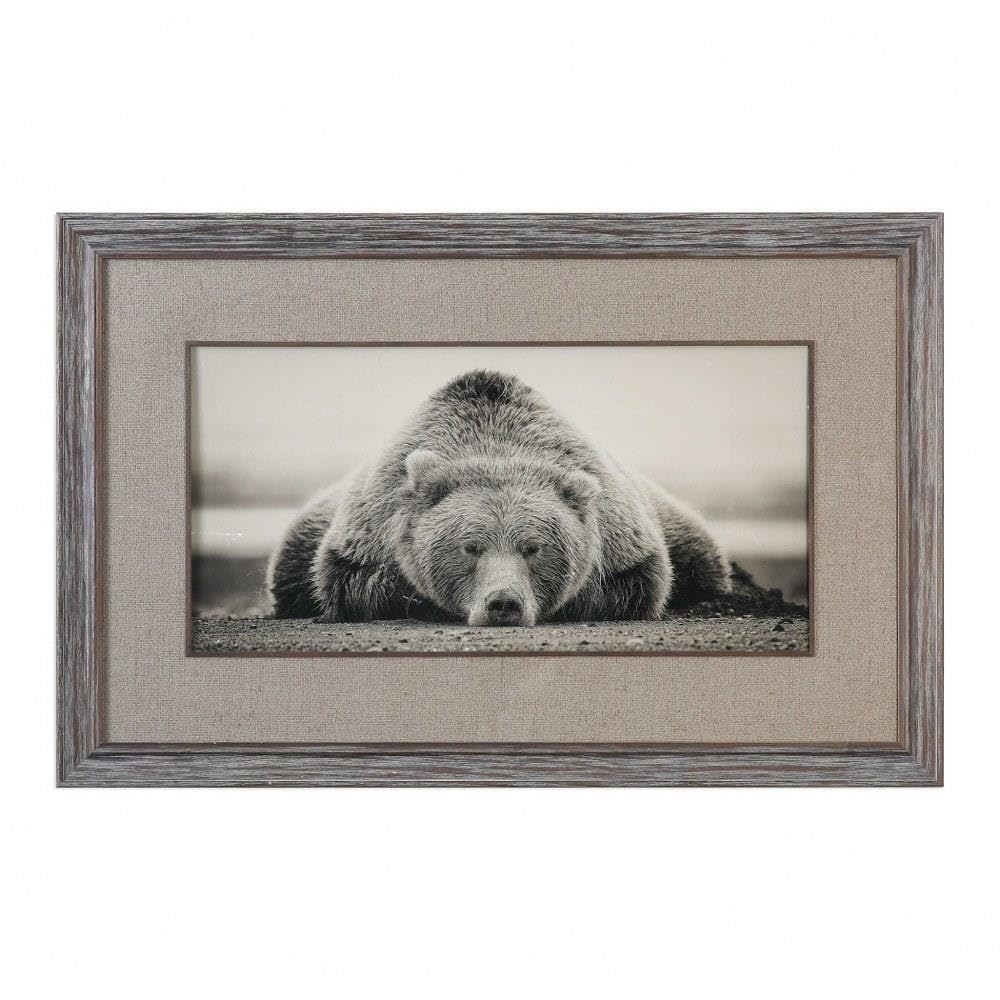 Deep Sleep 50 W Grizzly Photo Framed Wall Art Print