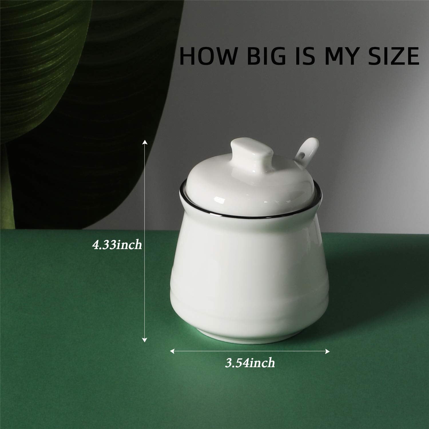 Porcelain Salt Bowl with Lid and Spoon Ceramic Sugar Bowl 12oz (White)