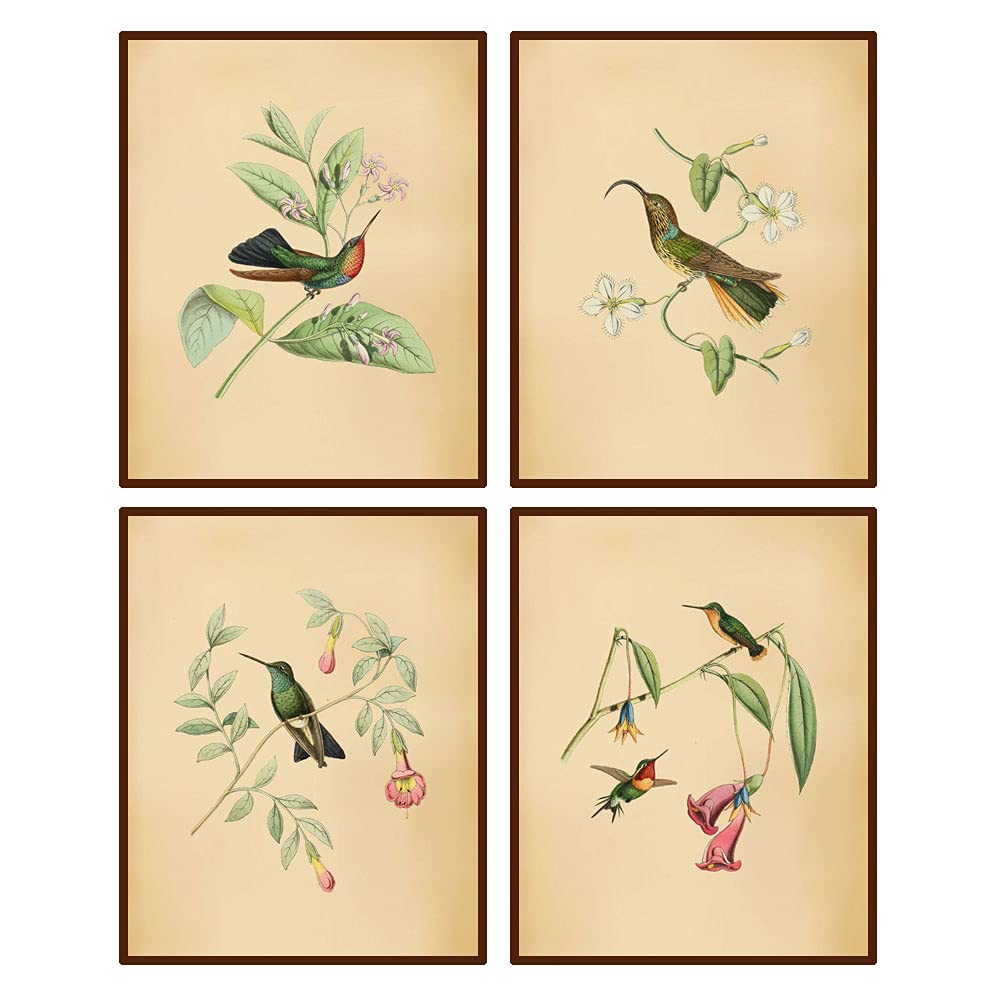 Heshengzaixian Vintage Birds Botanical Canvas Wall Art Print,Tropical Birds Flowers Plants Illustration Decor,Birds Art Painting