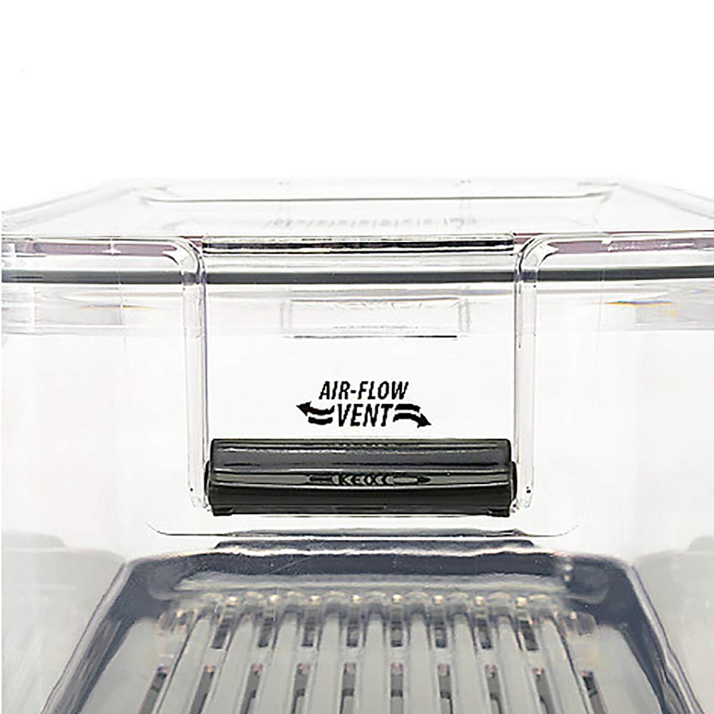 Progressive International Prepworks Prokeeper Clear Food Storage Container 3 Piece Set With Sealed Tight Lids And Drip Case Base