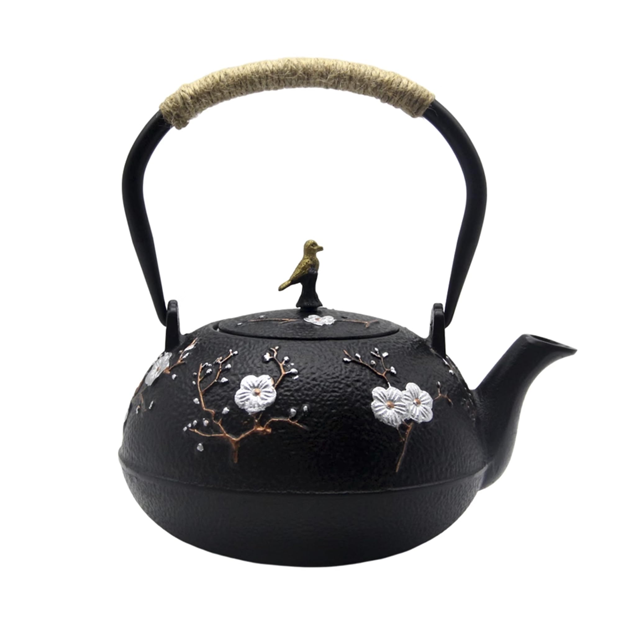Cast Iron Teapot, Japanese Style Tetubin, Tea Kettle with Removable Stainless Steel Infuser Internal Enamel Iron Teapots with Bi