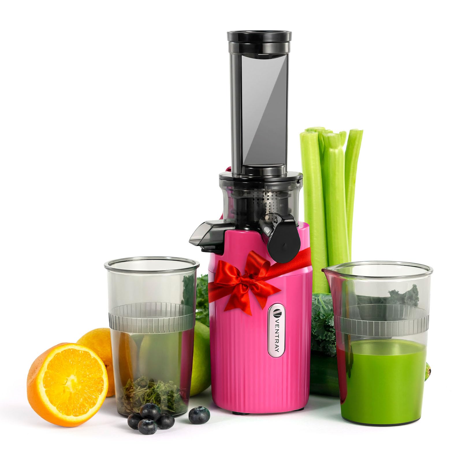 Ventray Ginnie Mini Cold Press Juicer, Small Slow Masticating Juicer for Vegetables and Fruits, High Juice Yield, Easy to Clean,