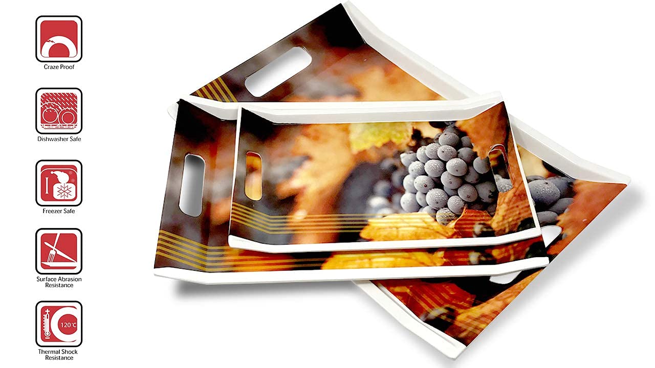 FEDOY Melamine Villori Series Serving Tray (Small, Medium and Large Size, Multicolor) - Set of 3