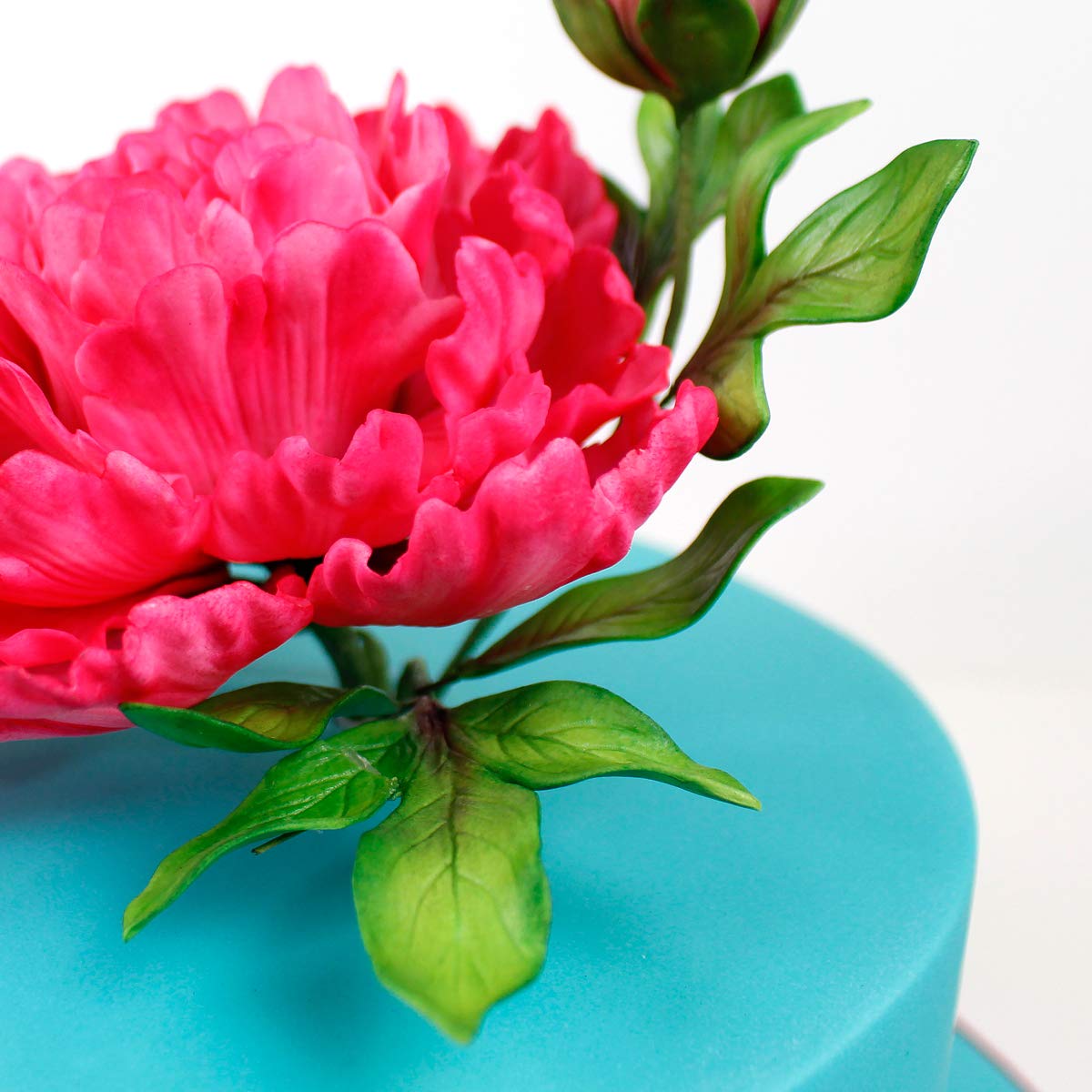 Flower Pro Peony Leaves Silicone Mold For Cake Decorating & Craft. For Fondant, Sugar Paste & Air Dry Clay From Katy Sue Designs