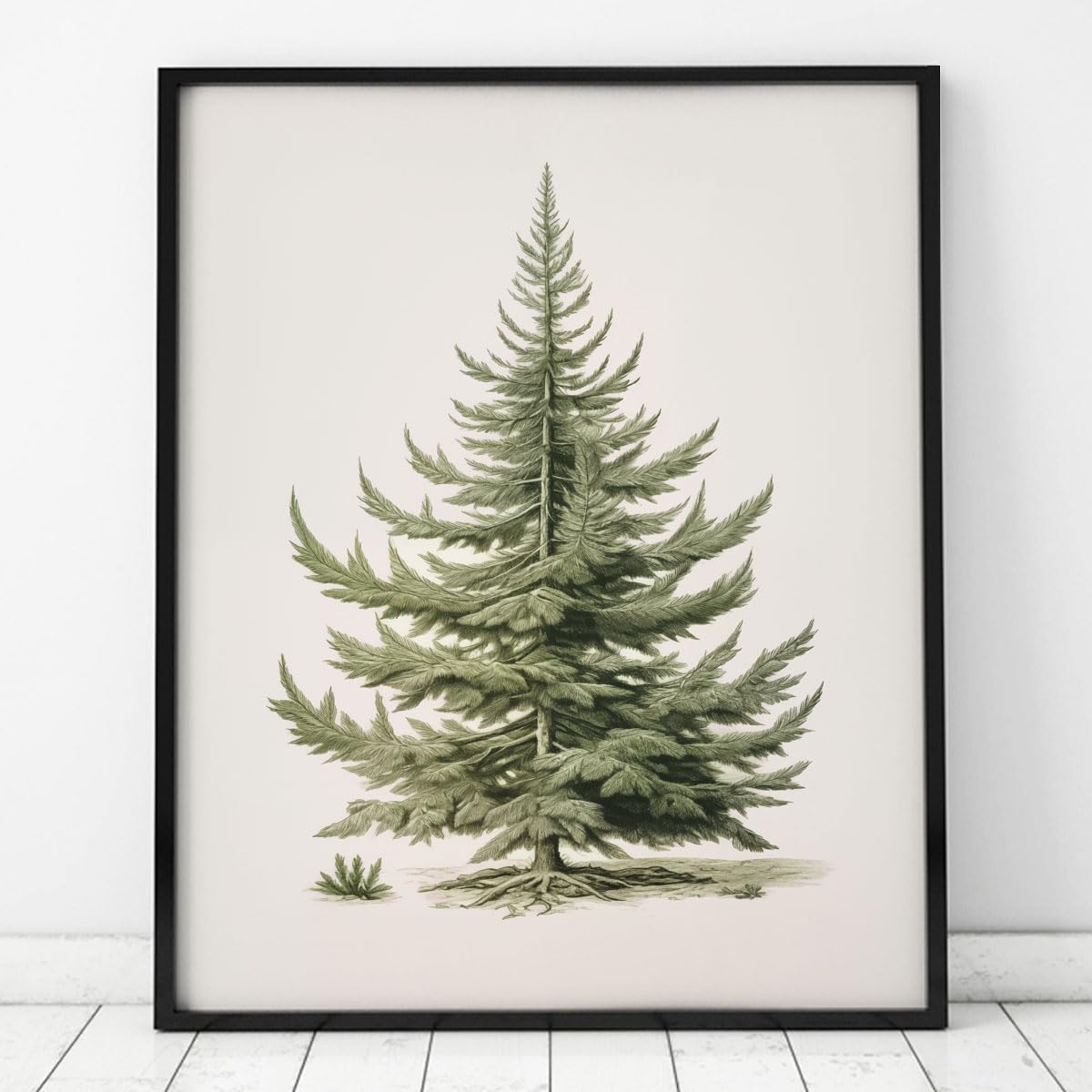 ZEARPT Christmas Tree Art Print, Vintage Fir Botanical Sketch, 11x14 inches, Pigment Inks, Unframed