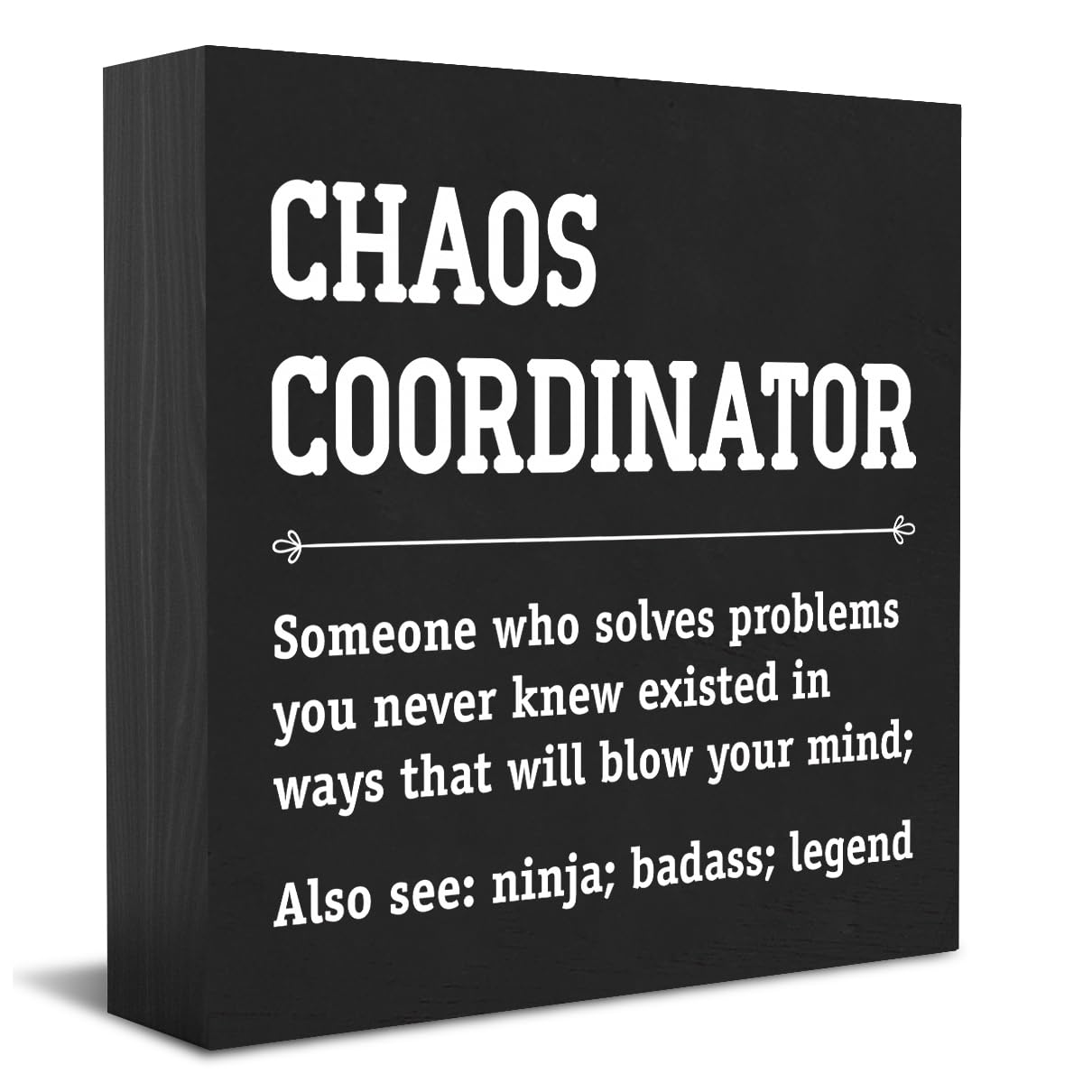 HTBIG Chaos Coordinator Thank You Gifts Office Decor Funny Motivational Desk Decor Gifts for Coworkers Boss Manager Appreciation