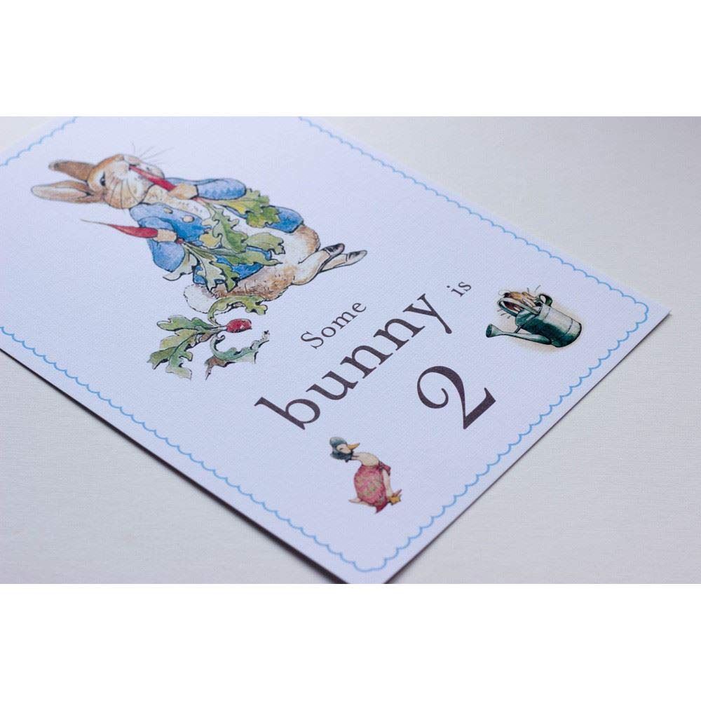 Peter Rabbit 'Some Bunny is 2' Card and Easel 2nd Birthday Decoration Sign