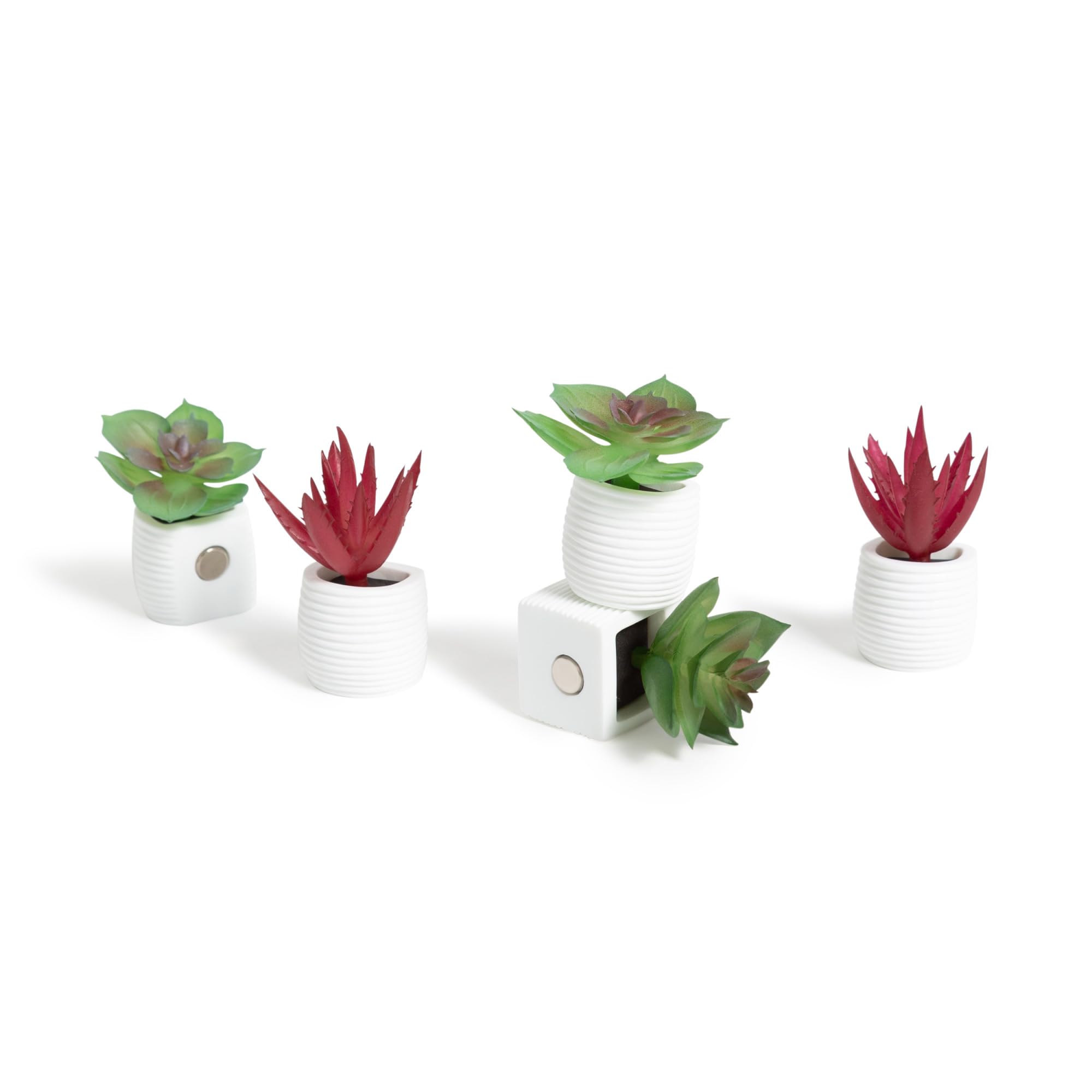 U Brands Mini Fashion Small Magnet Set, Green Succulents, 12 Count, Office Supplies for Classroom or Office Decor, Cute Magnets 