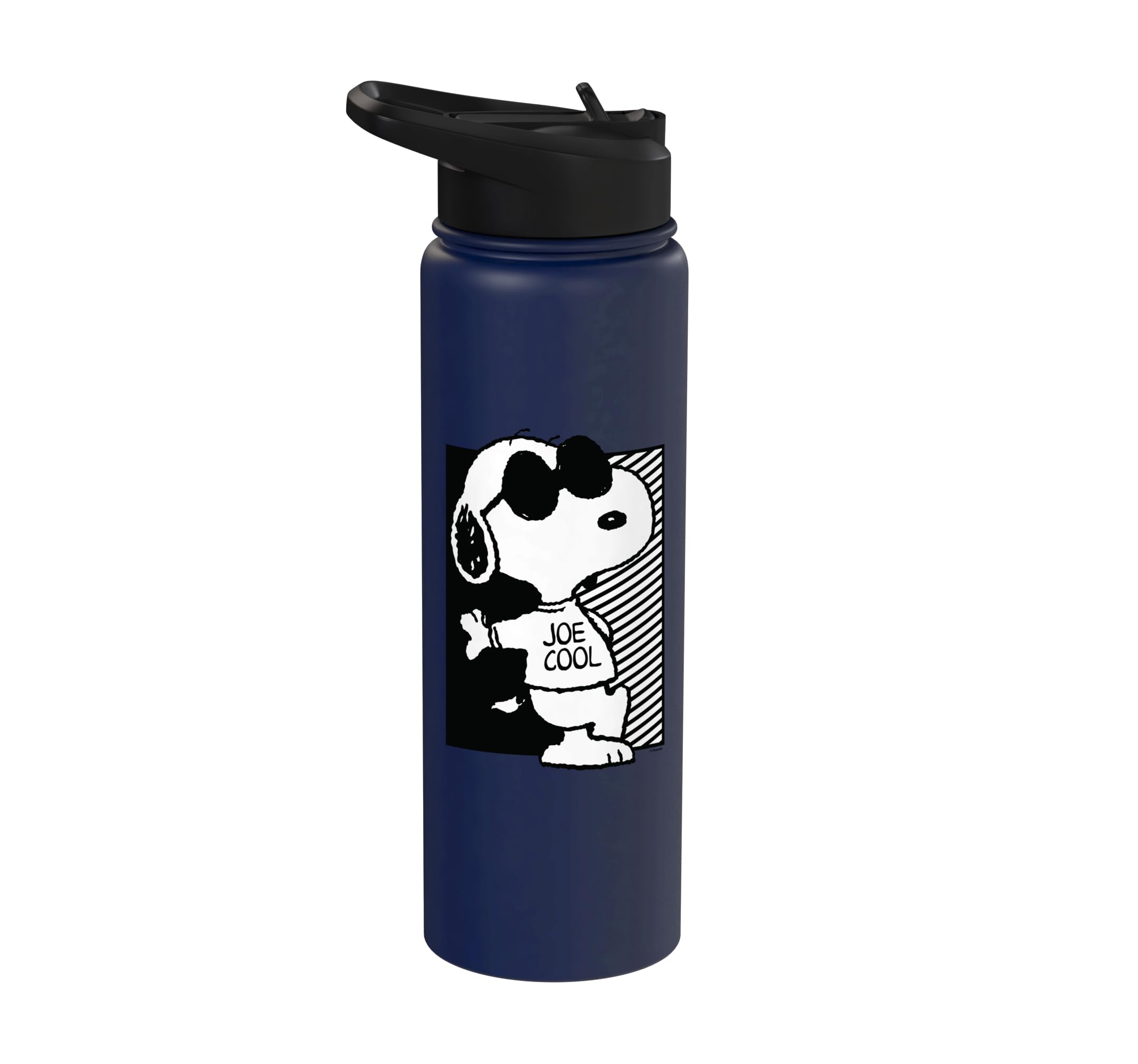 Snoopy Joe Cool Too Cool Design Stainless Steel Insulated Water Bottle